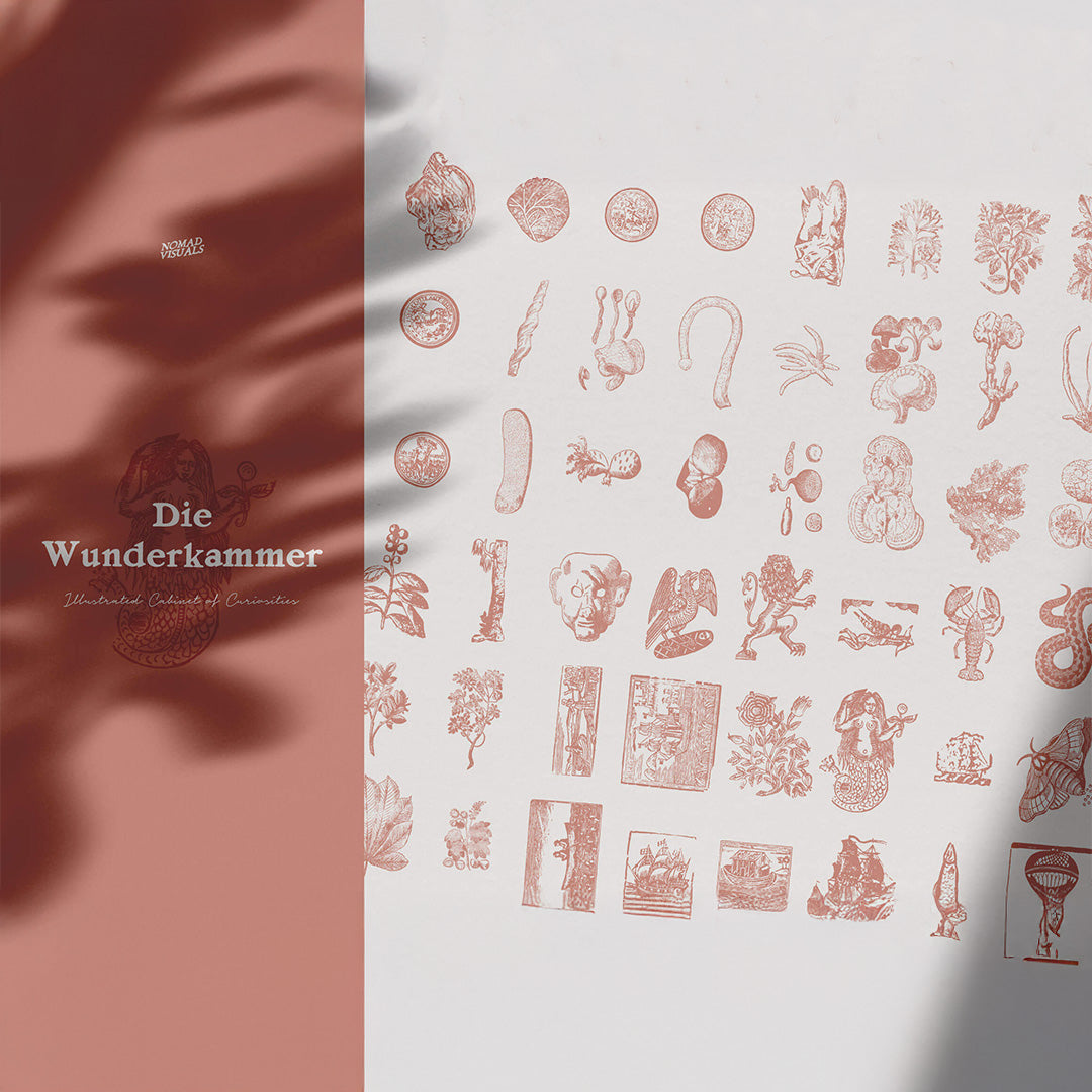 The Wonder Room