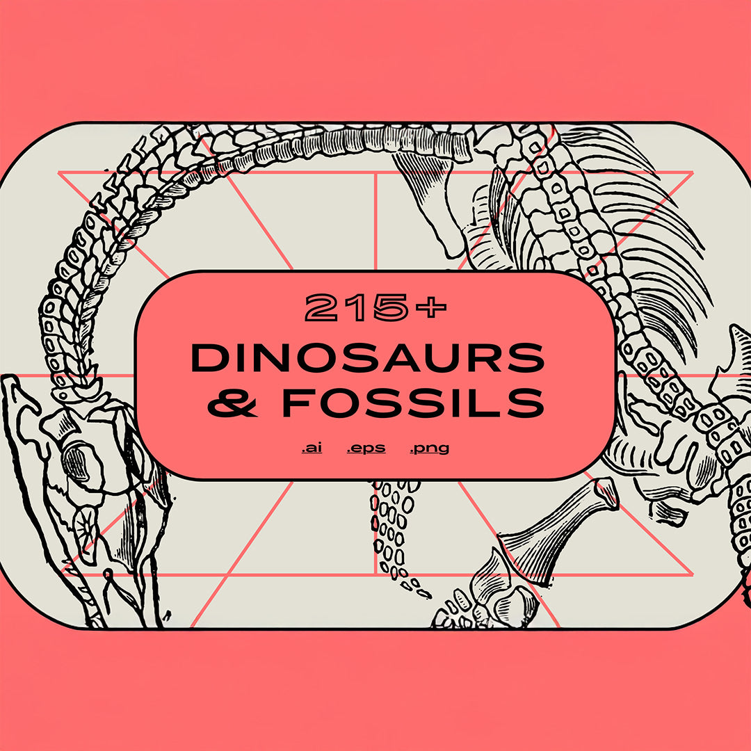 Dinosaurs and Fossils