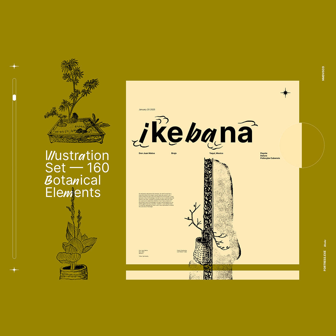 Ikebana Botanical Illustration Set