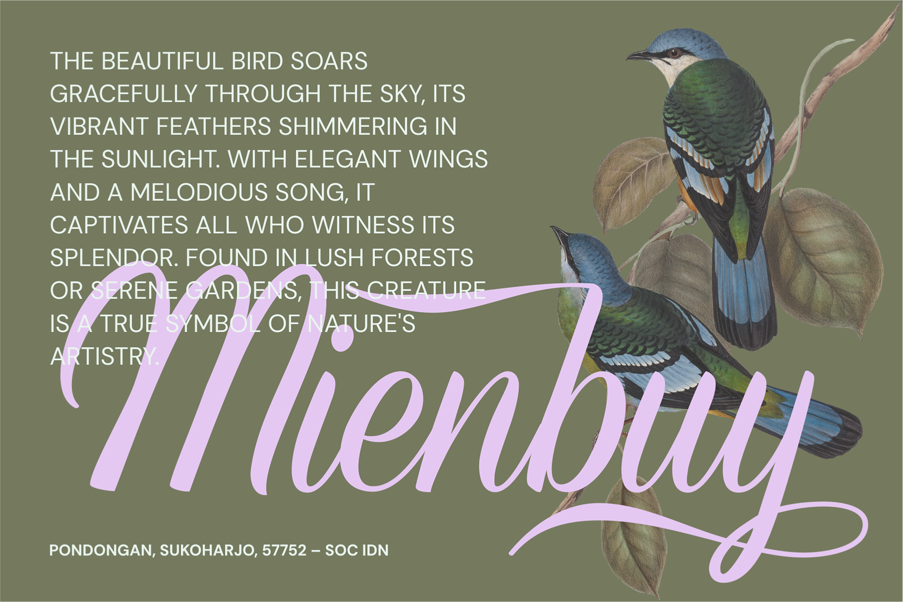 Refinsted - Modern Classic Font