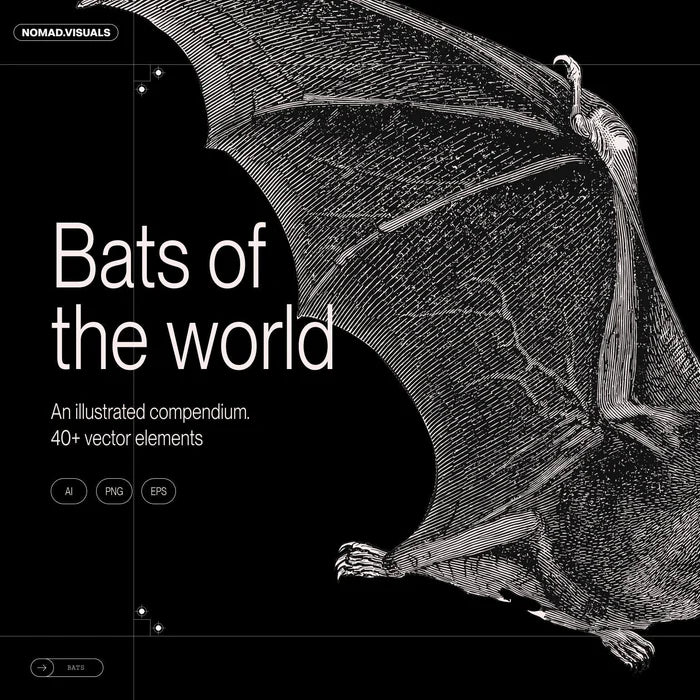 Bats of the World