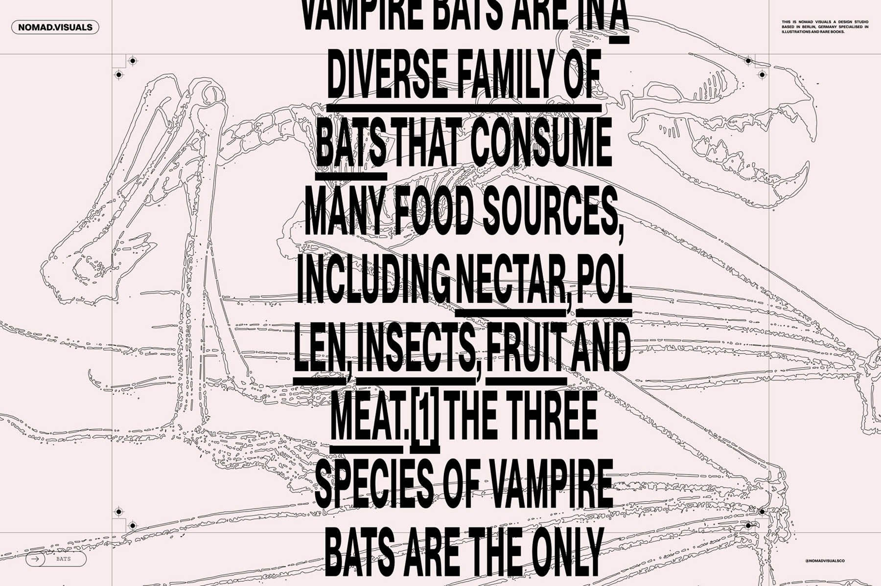 Bats of the World