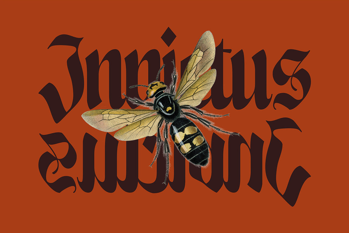 NCL Enigmatic Waesbendiy - secret-cache