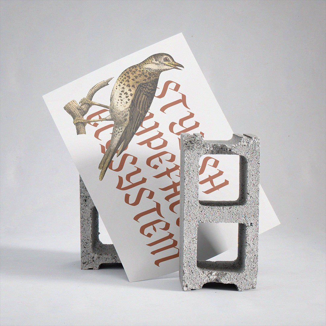 NCL Fegakines - secret-cache