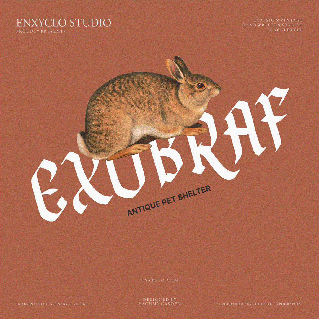 NCL Fegakines - secret-cache