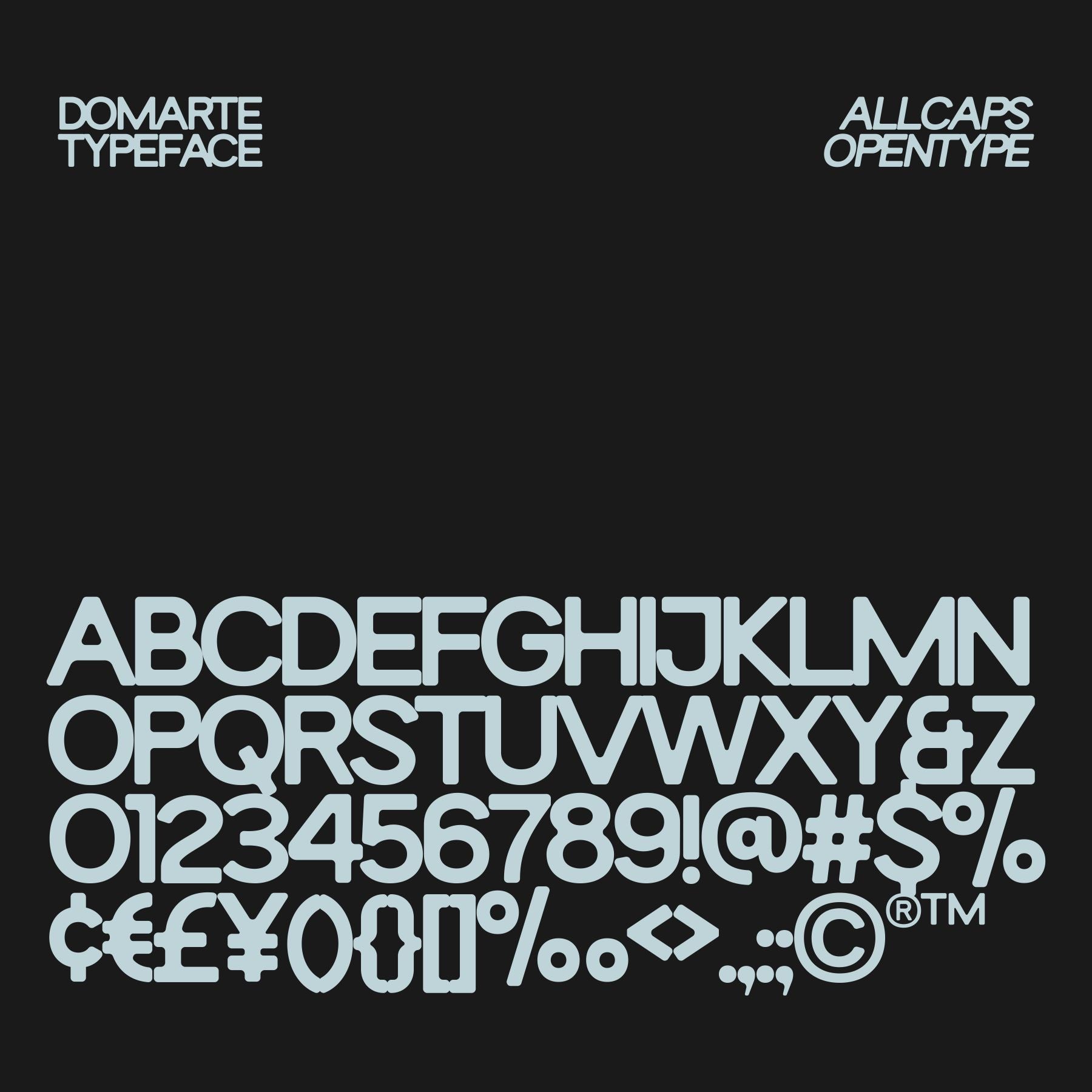 Domarte Display Typeface - secret-cache