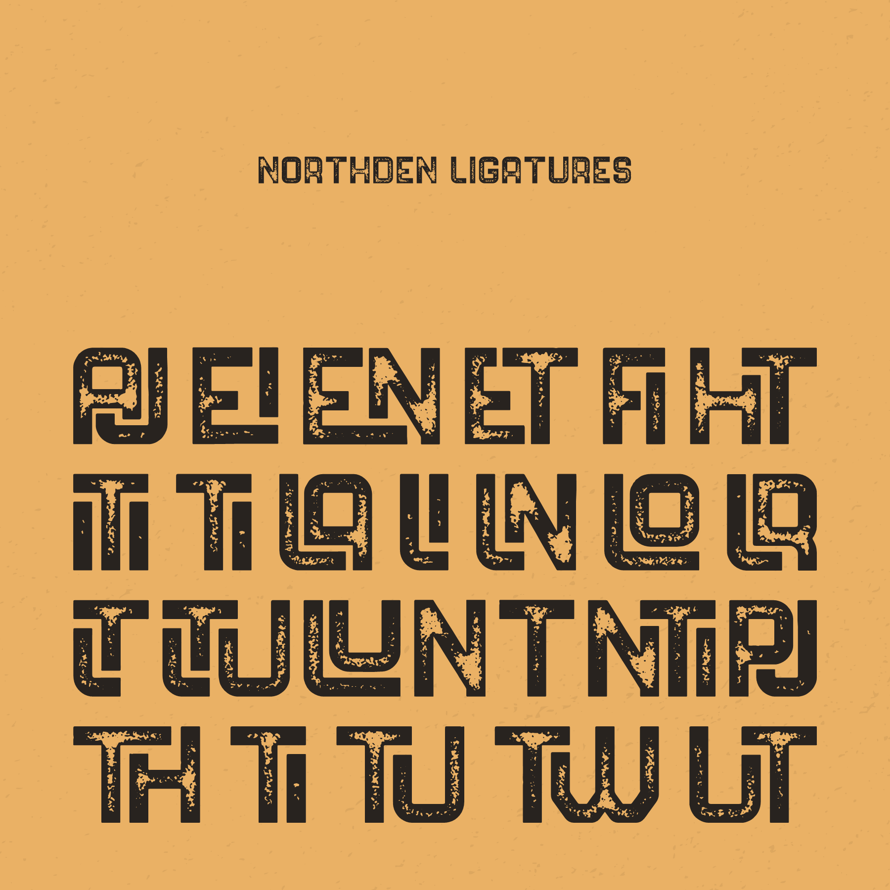 NORTHDEN TYPEFACE - secret-cache