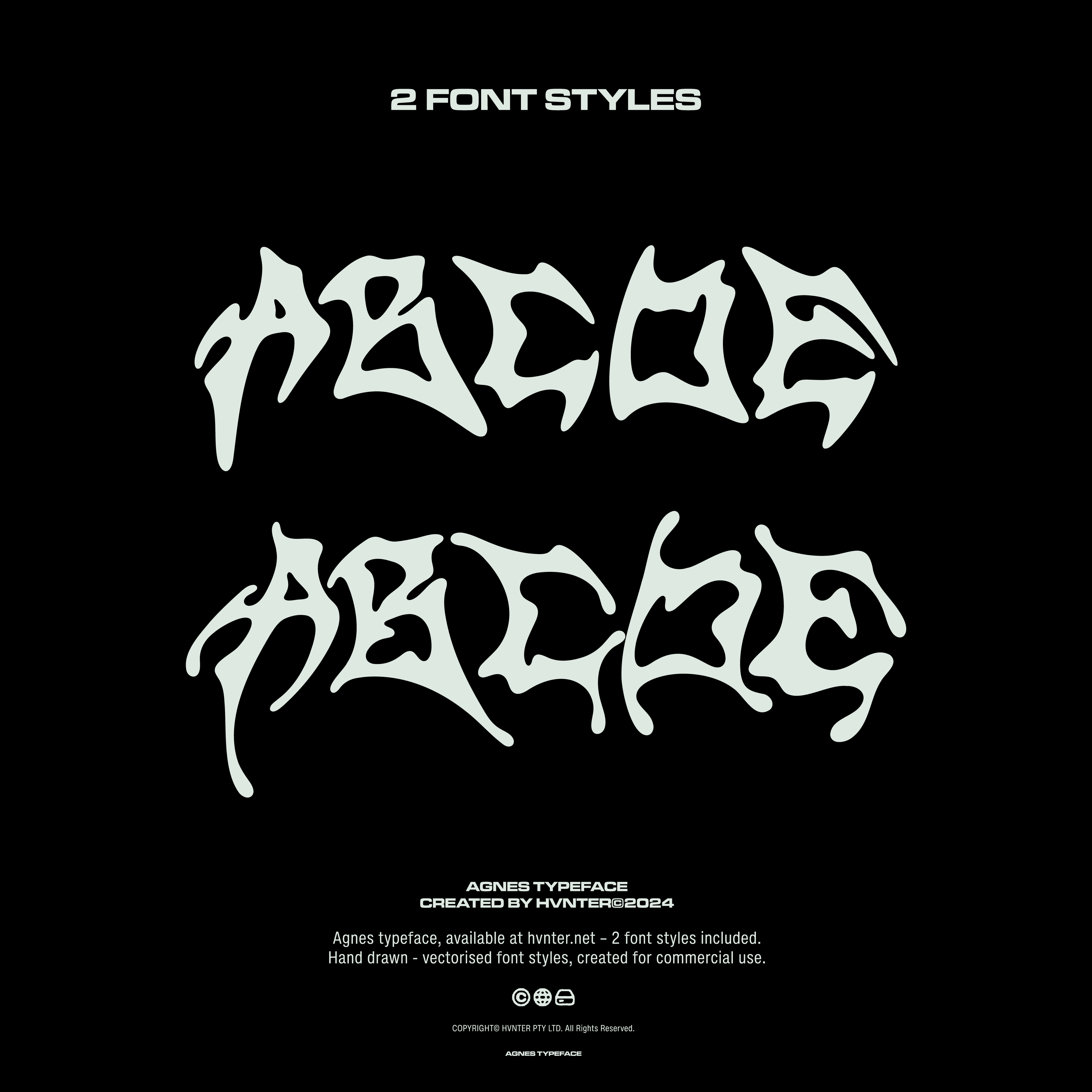 Agnes Typeface - secret-cache