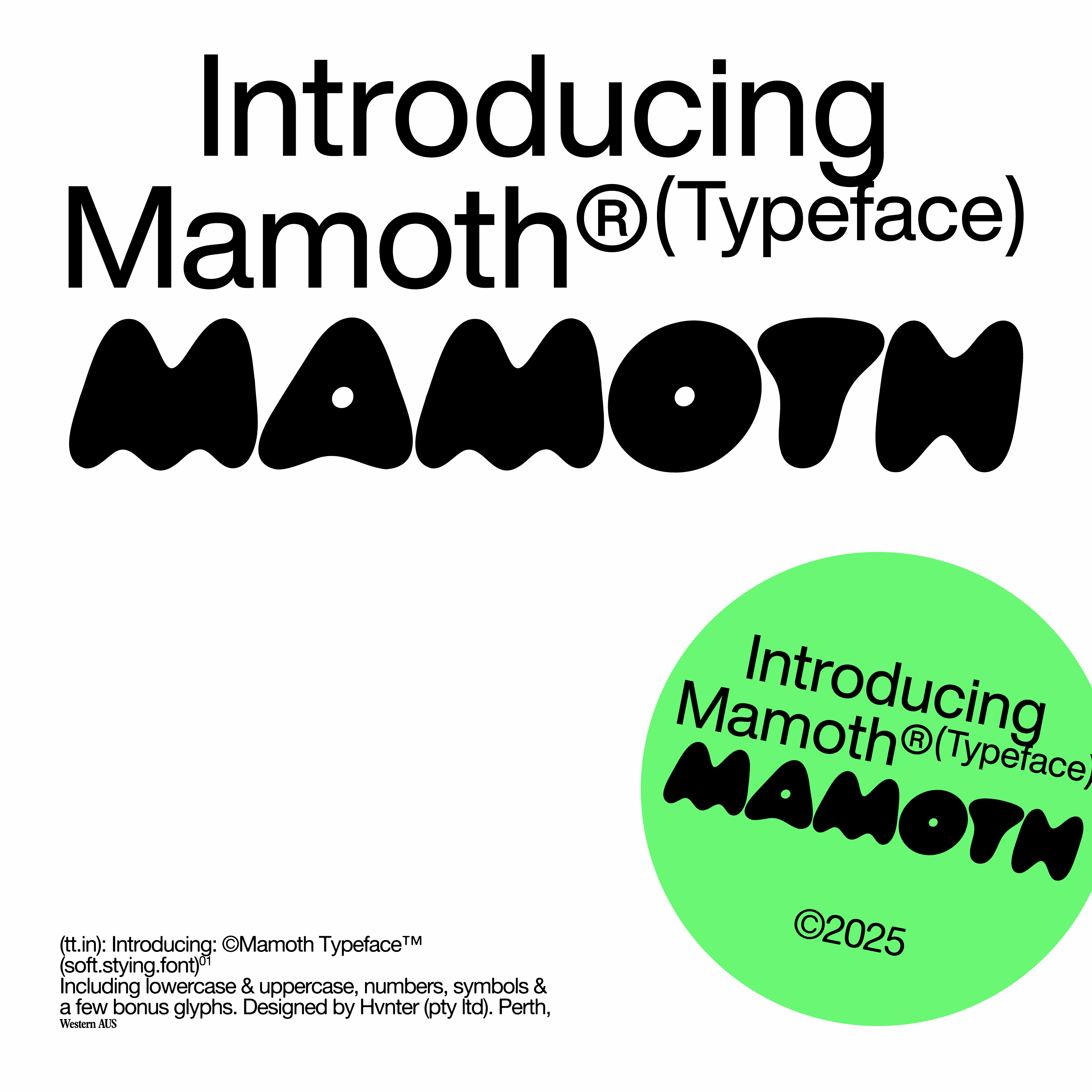 Mamoth Typeface - secret-cache
