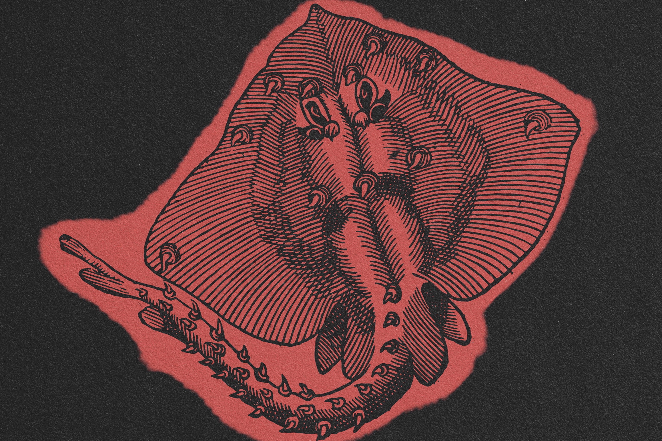 Animals of Air Land & Water - secret-cache