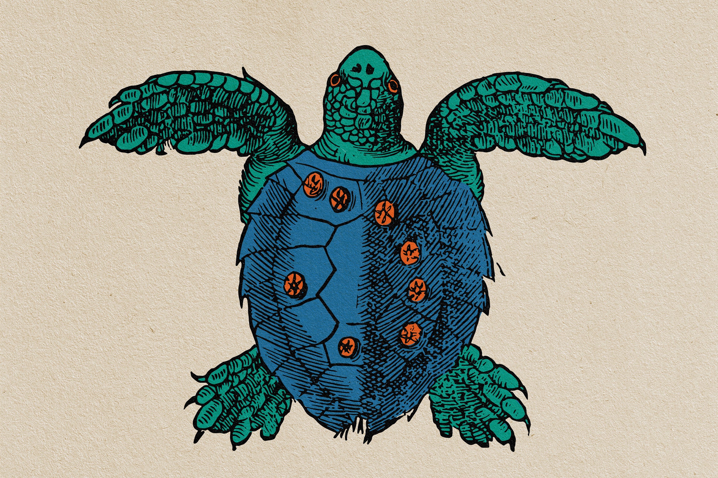 Animals of Air Land & Water - secret-cache