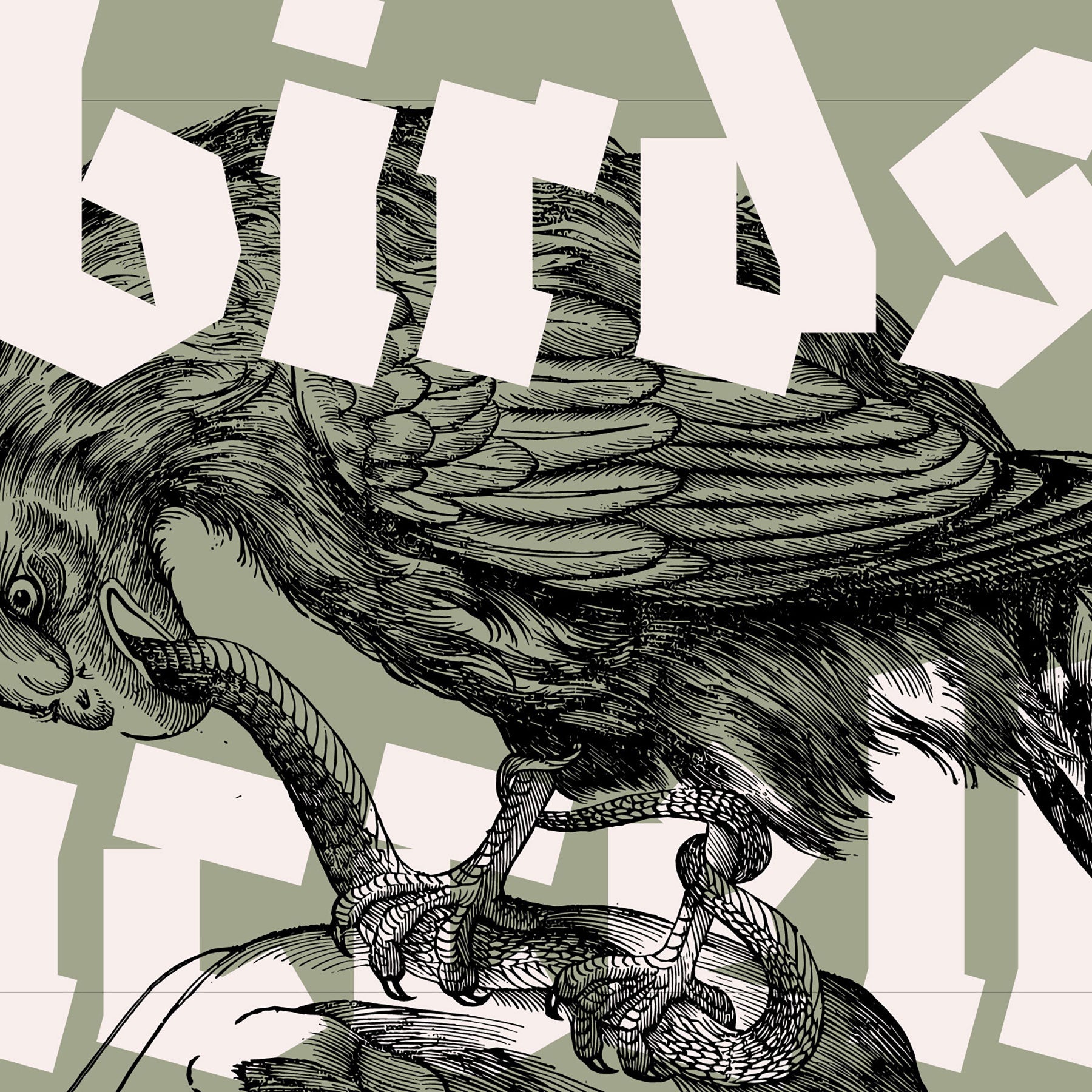 Birds of the World - secret-cache