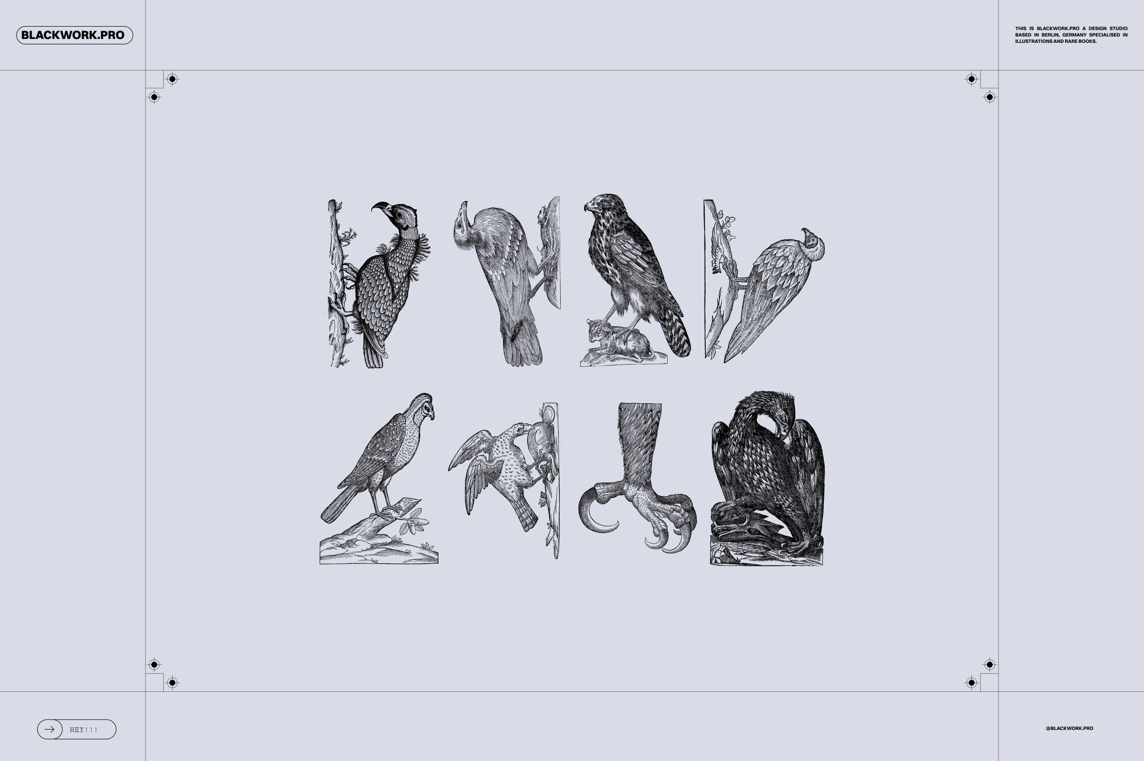 Birds of the World - secret-cache