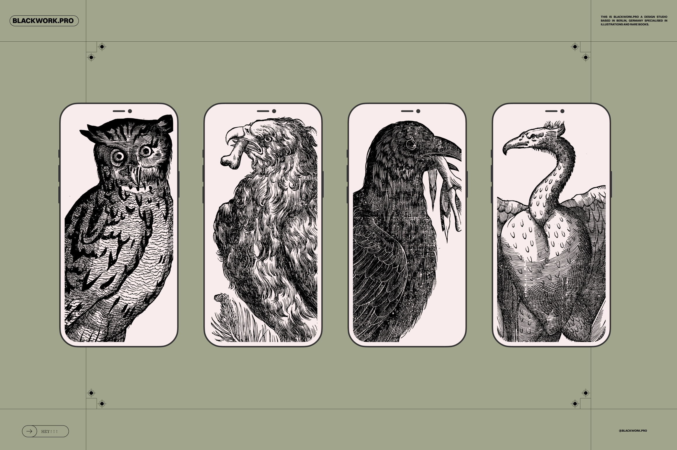 Birds of the World - secret-cache
