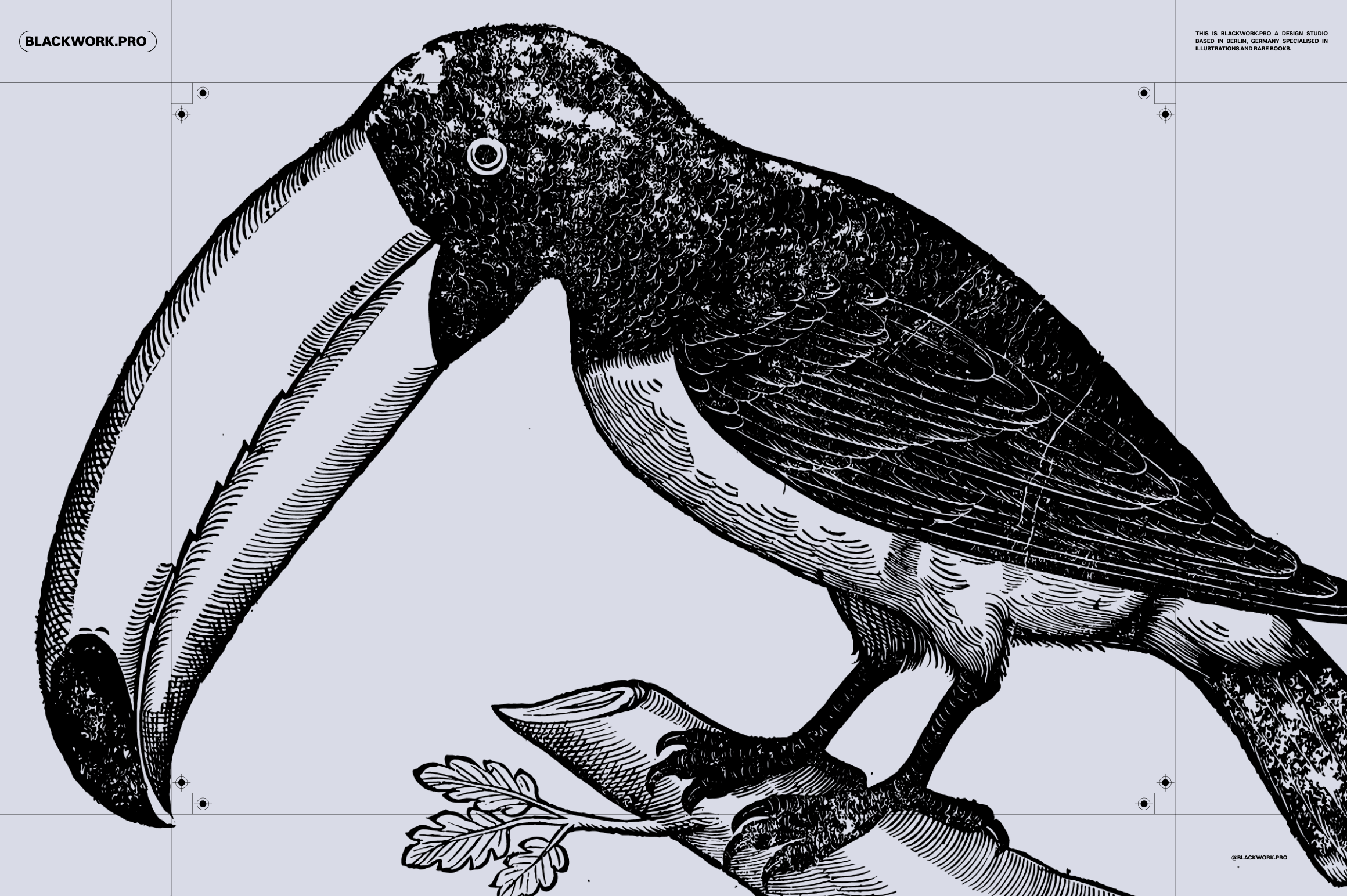 Birds of the World - secret-cache