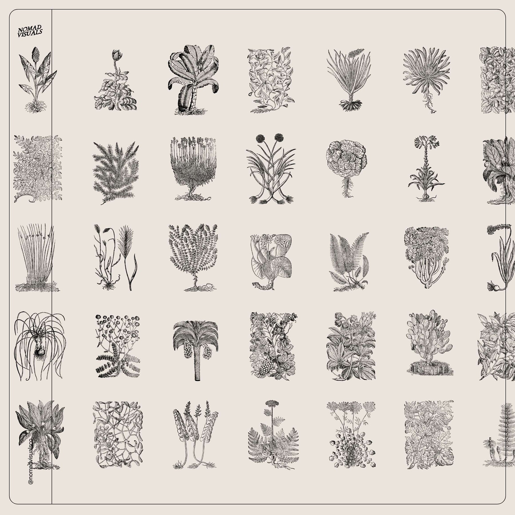 Botanical Collection - secret-cache
