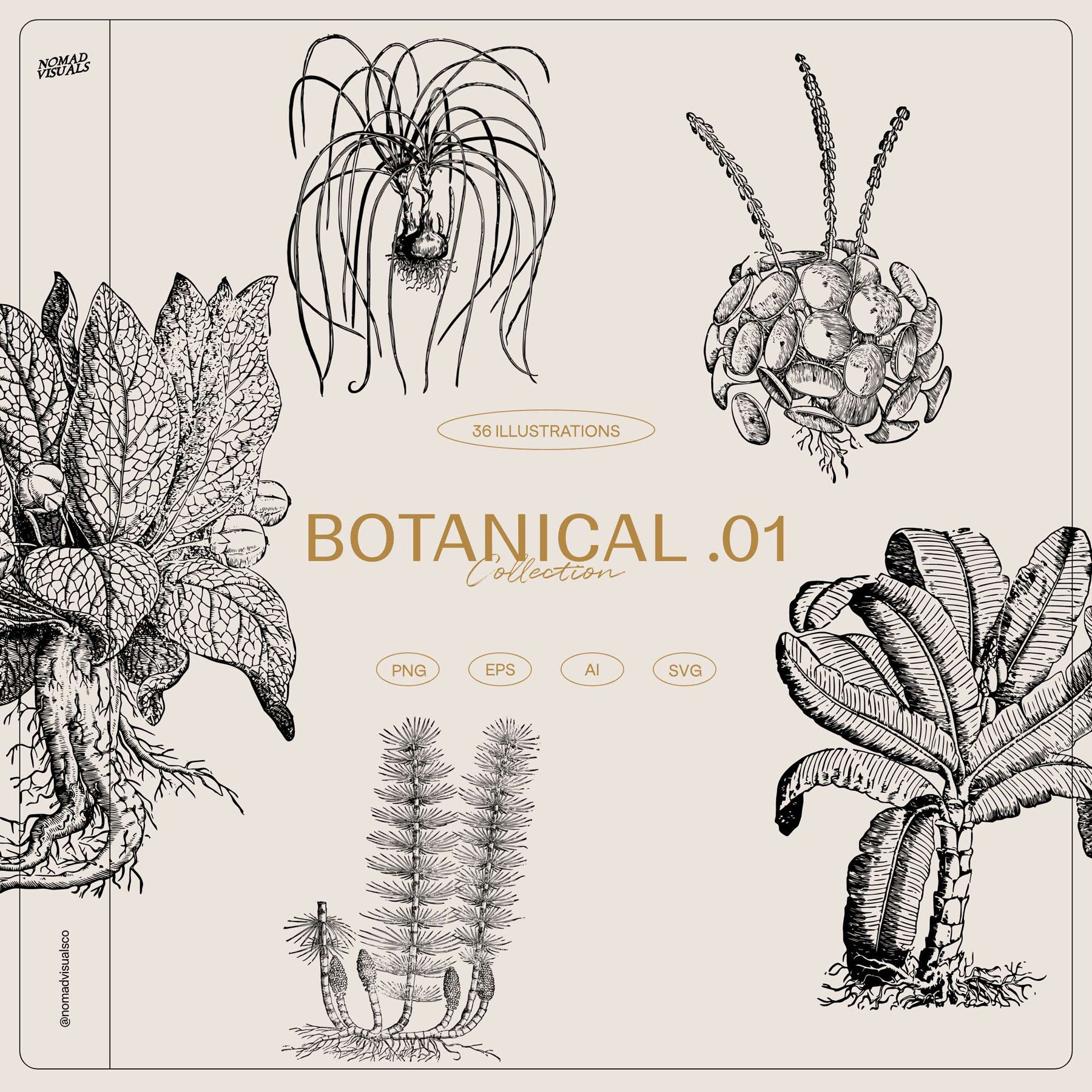 Botanical Collection - secret-cache