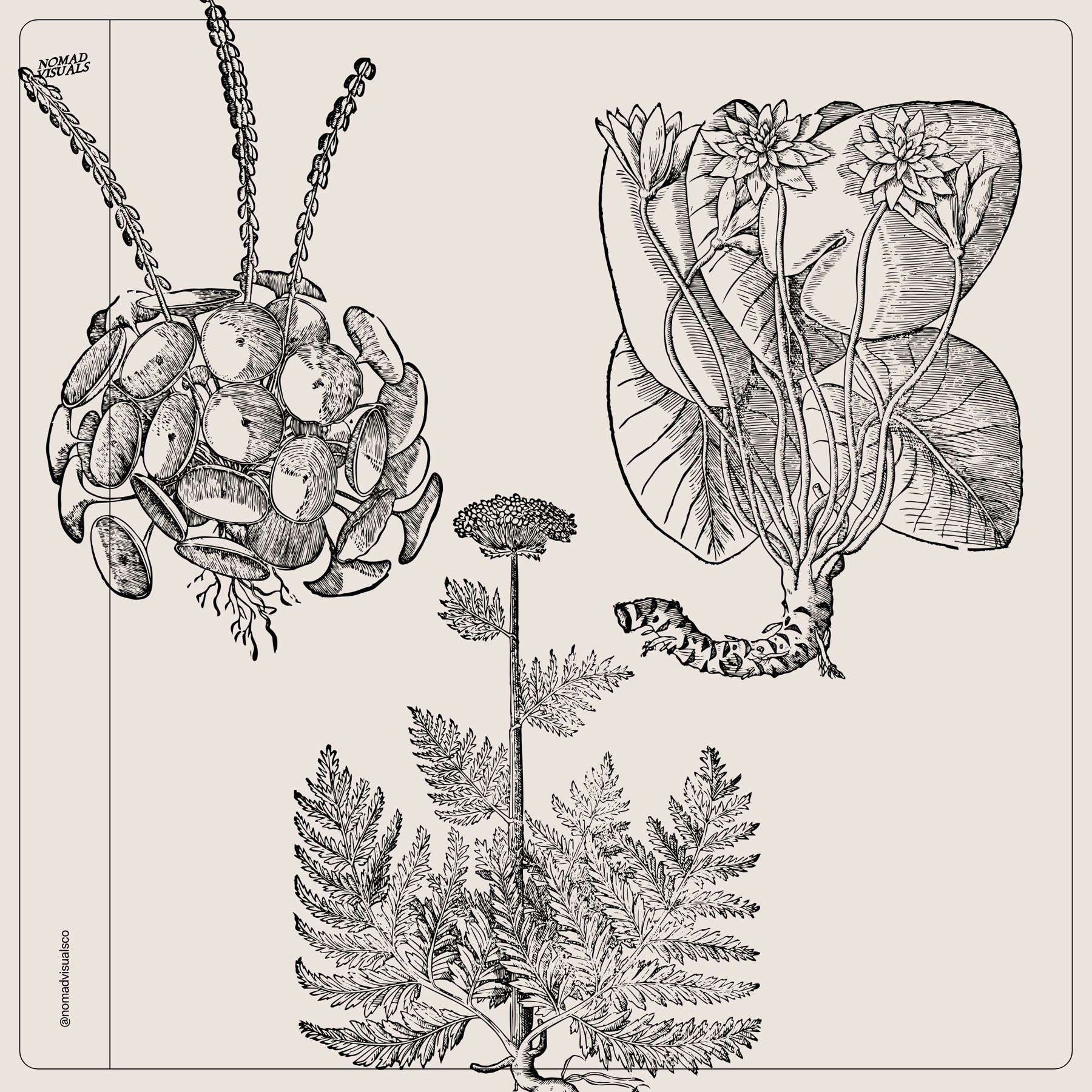 Botanical Collection - secret-cache