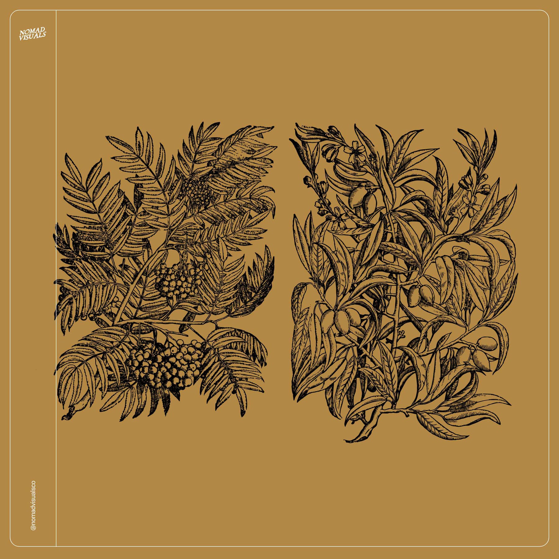 Botanical Collection - secret-cache
