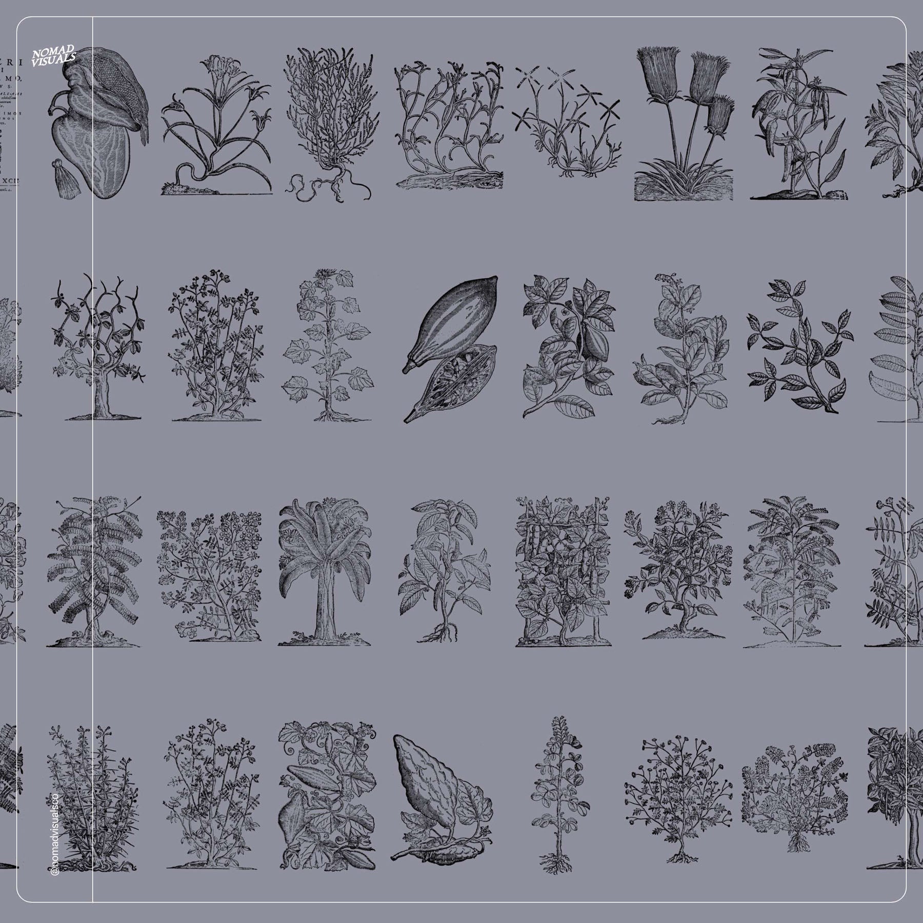 Botanical Collection - secret-cache