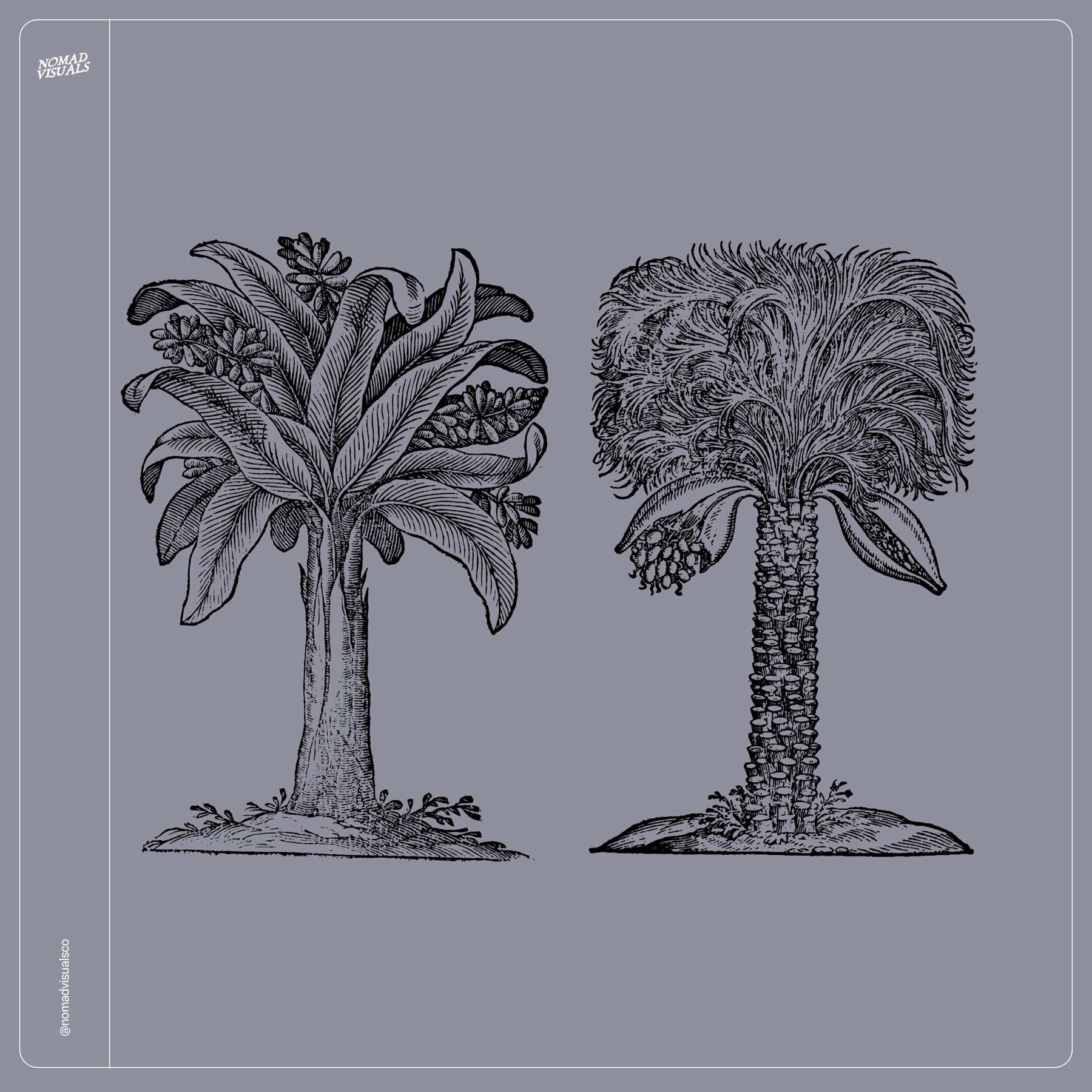 Botanical Collection - secret-cache