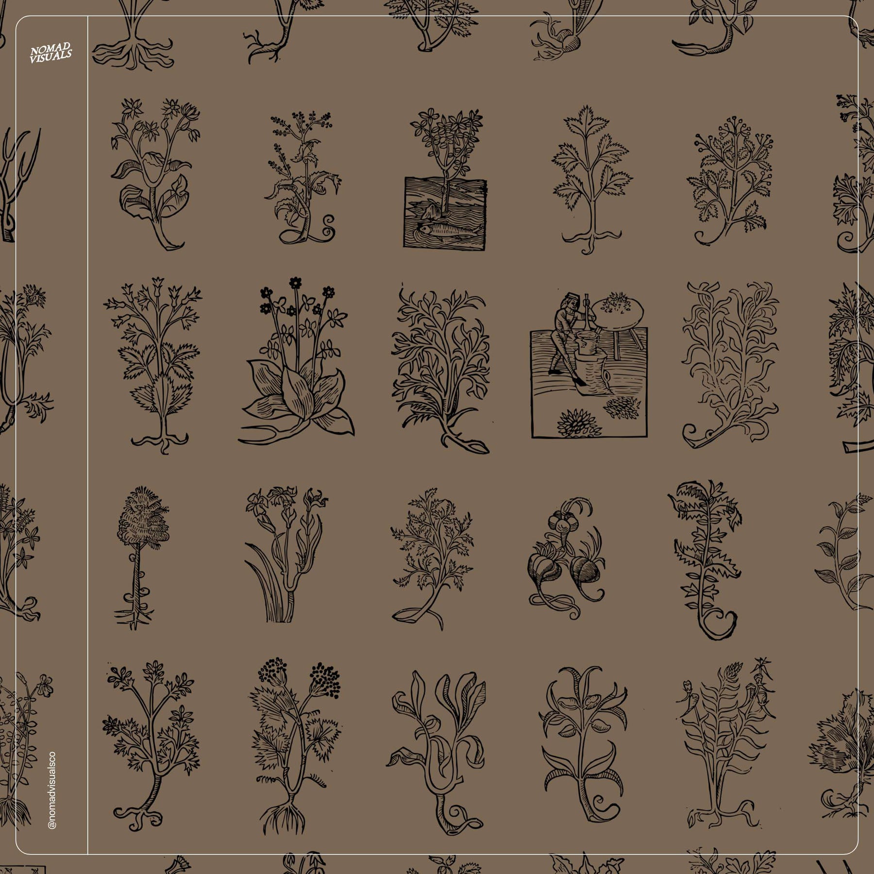 Botanical Collection - secret-cache