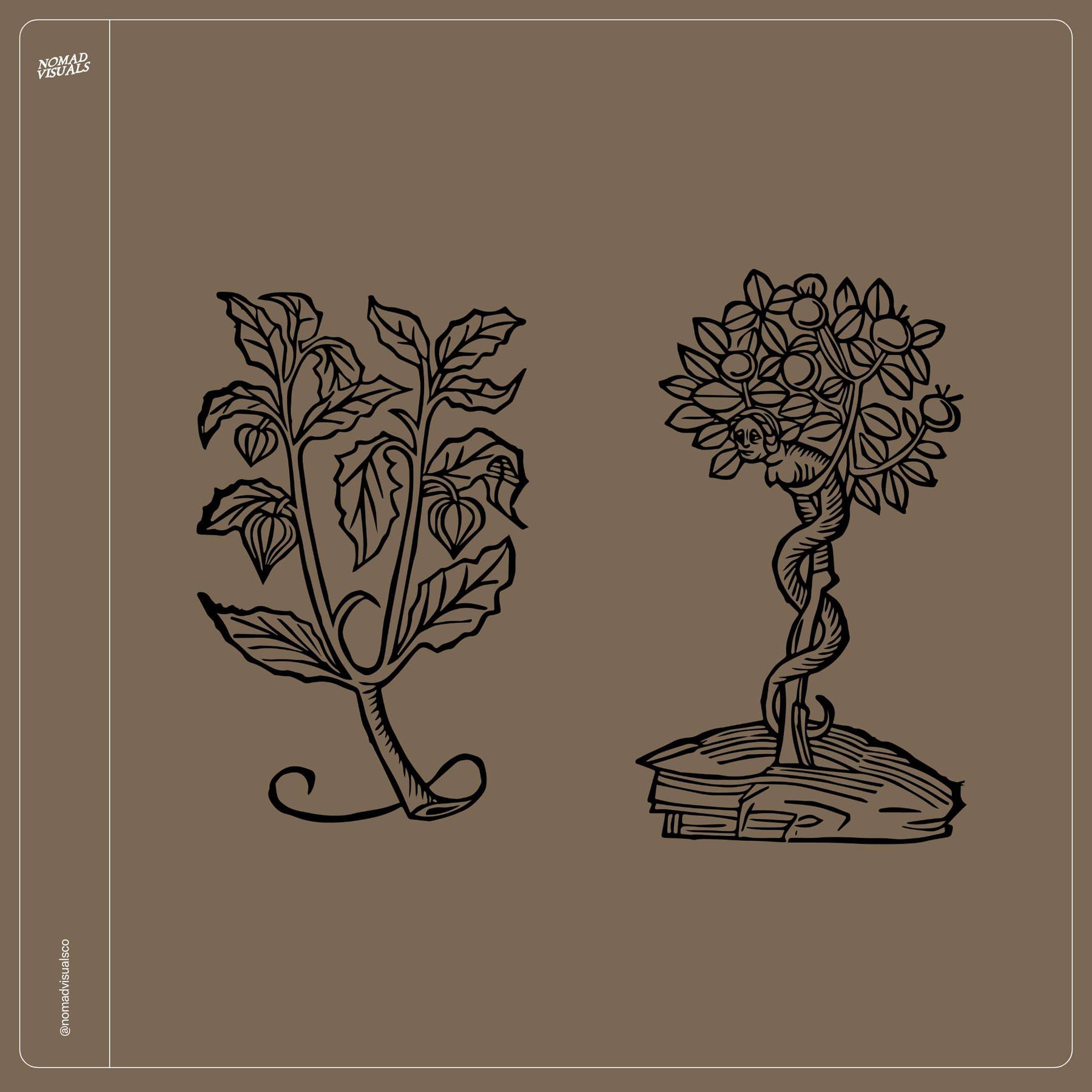 Botanical Collection - secret-cache