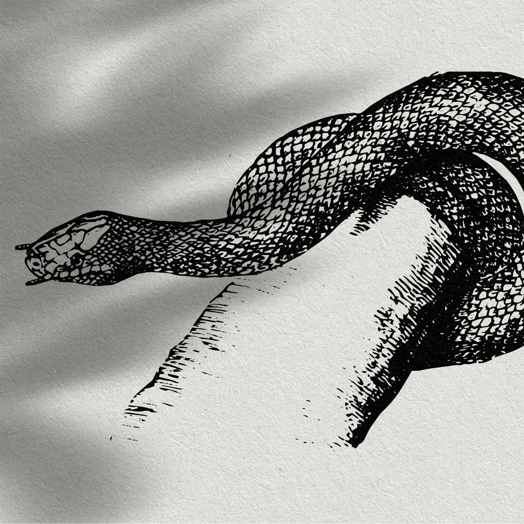 Snakes & Dragons - secret-cache
