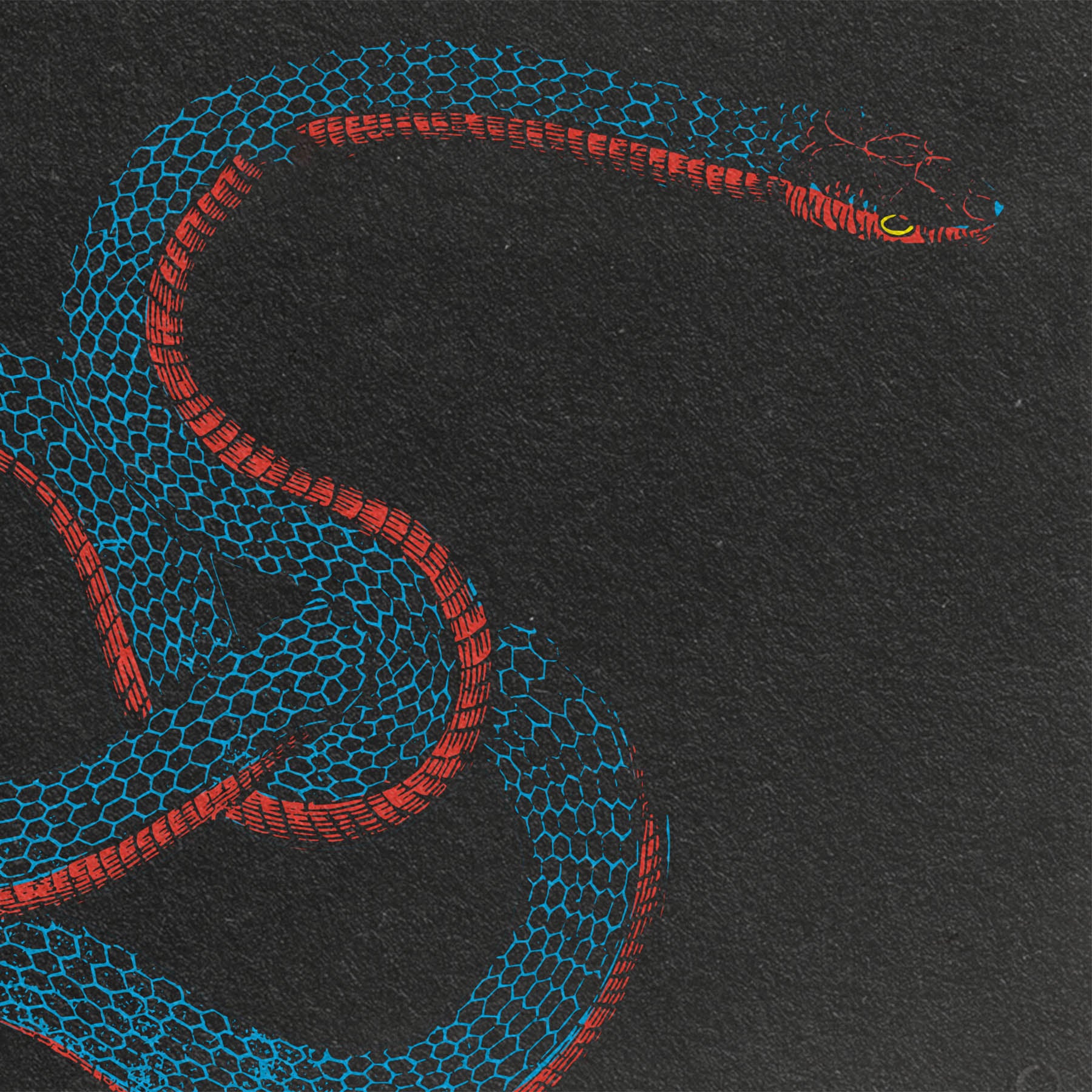 Snakes & Dragons - secret-cache