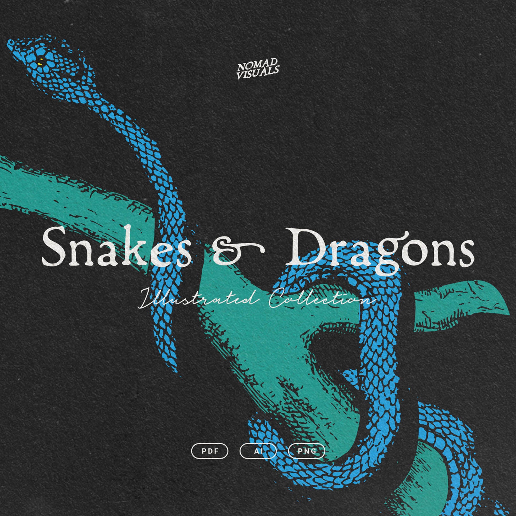 Snakes & Dragons - secret-cache