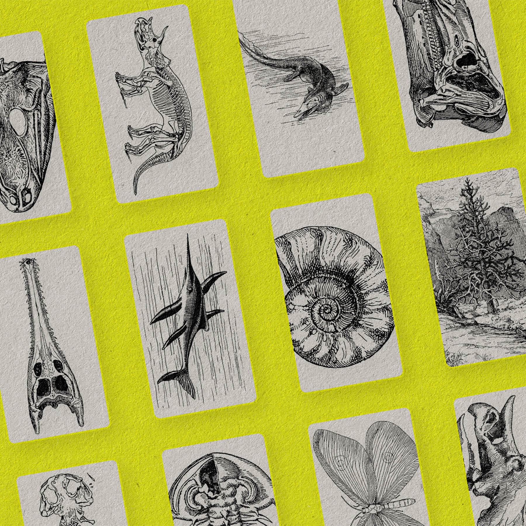 The Age Of Dinosaurs - secret-cache