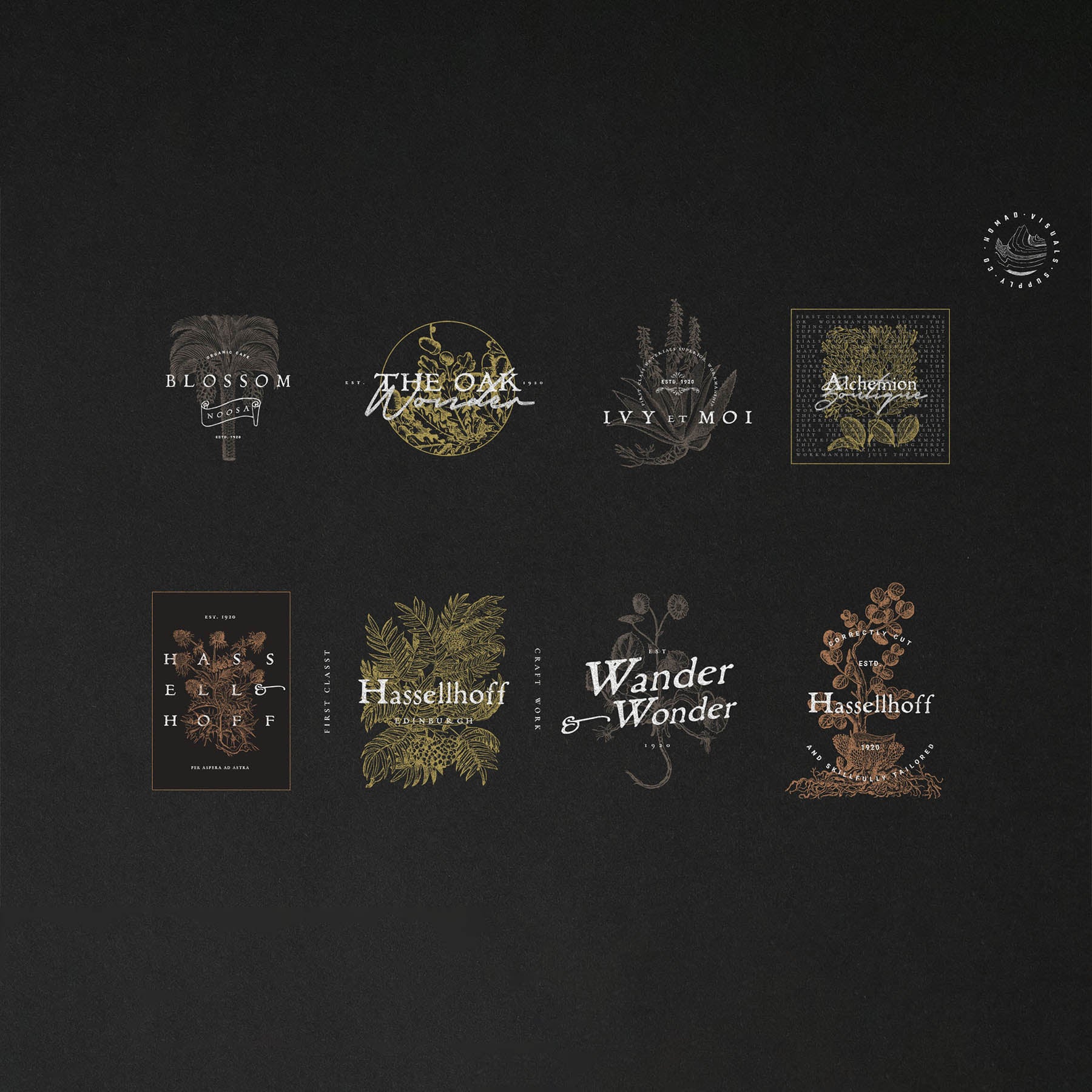 Alchemion Display Serif Font - secret-cache