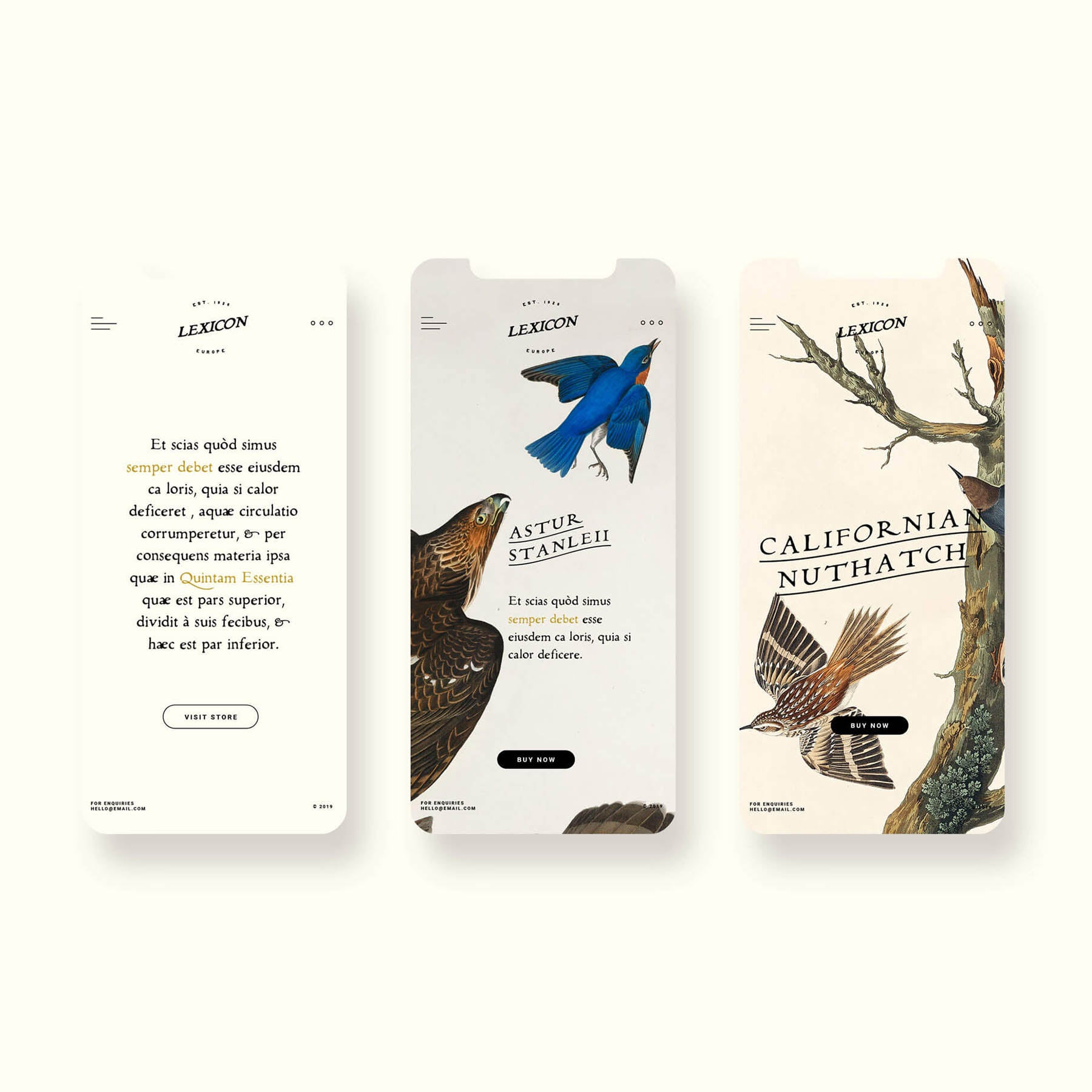 Alchemion Display Serif Font - secret-cache