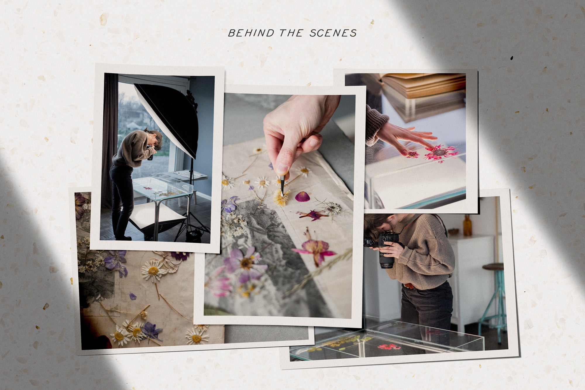 Dry Flowers & Leaves Bundle - secret-cache