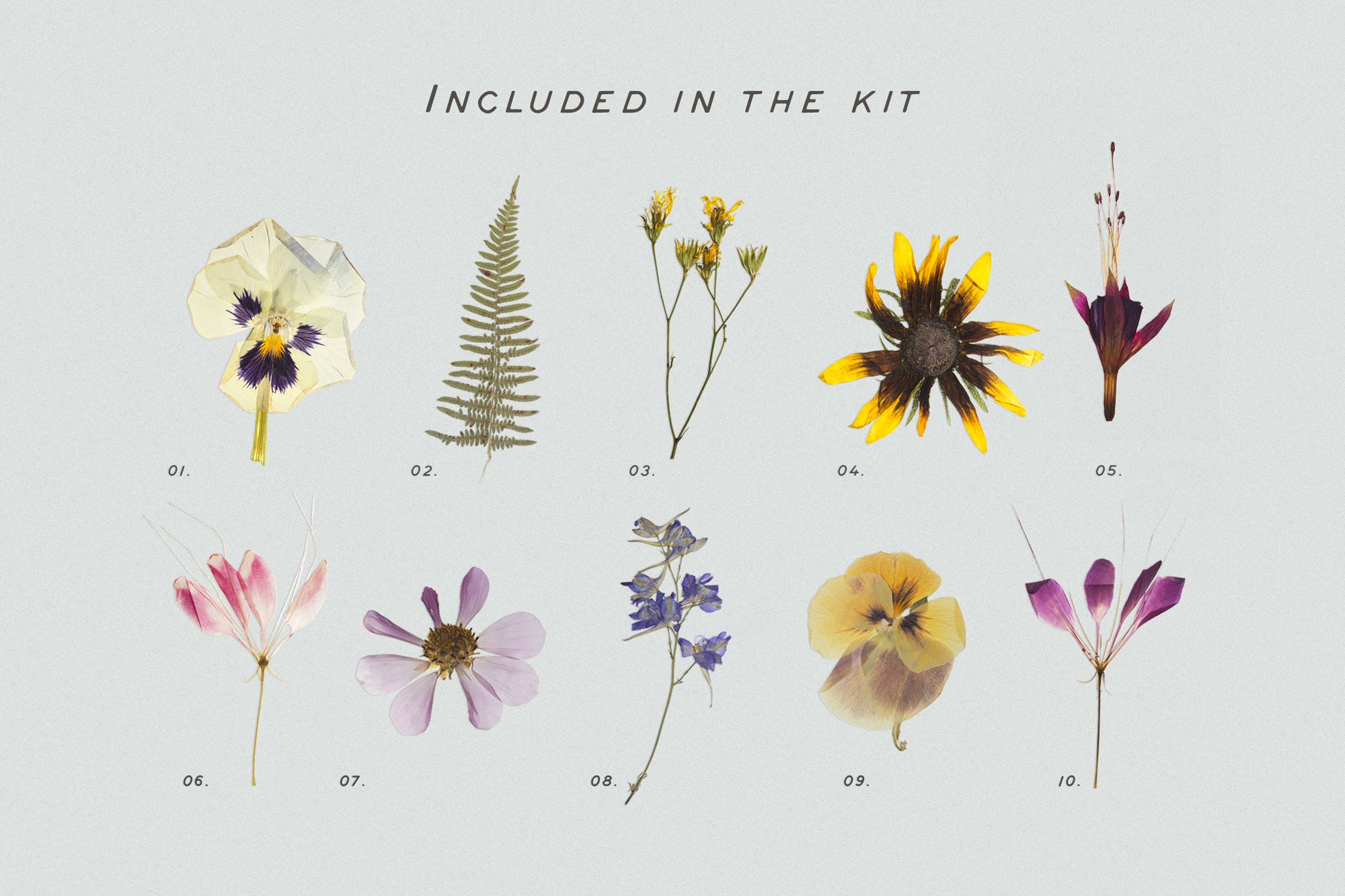 Dry Flowers & Leaves Bundle - secret-cache