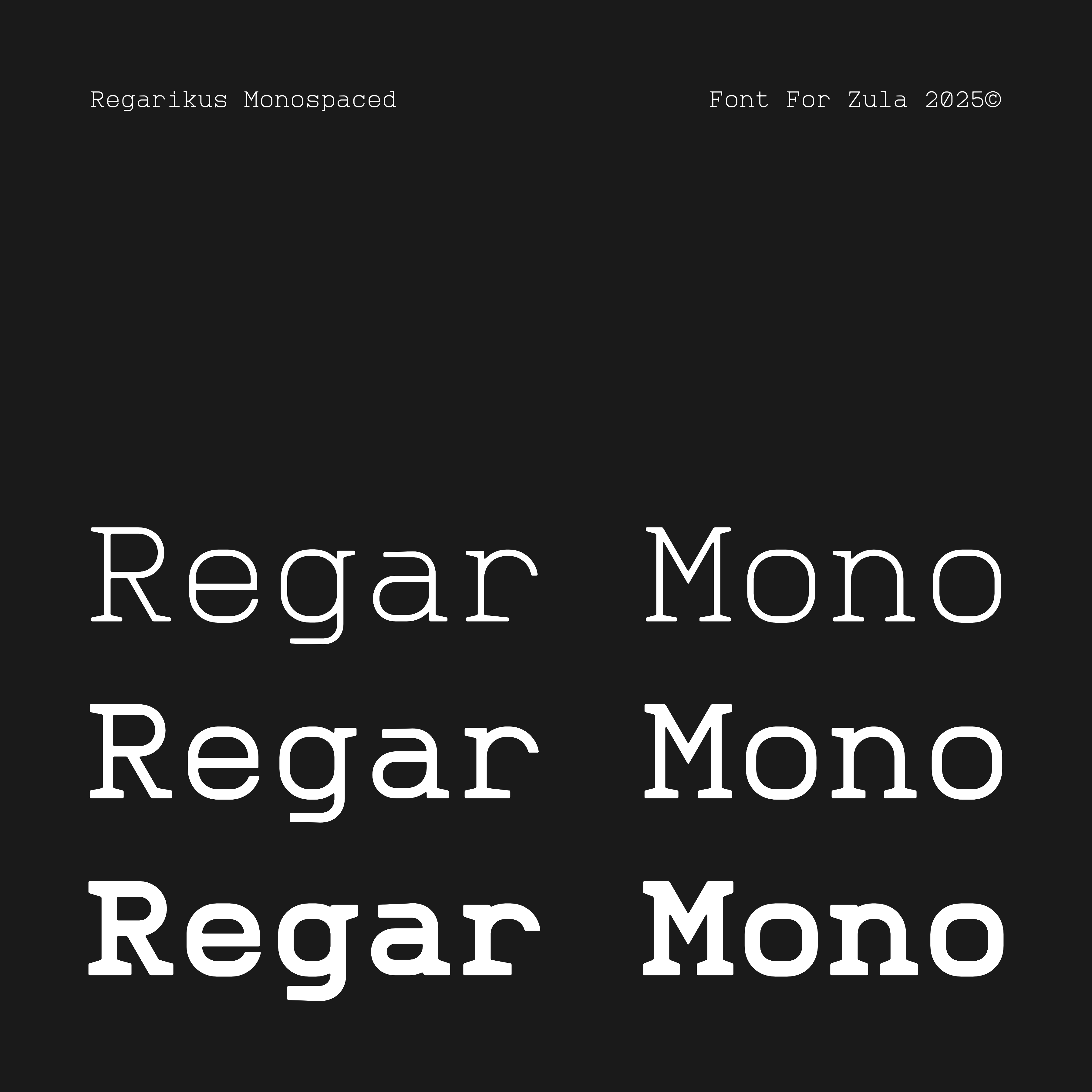 REGAR MONOSPACED FONT FAMILY