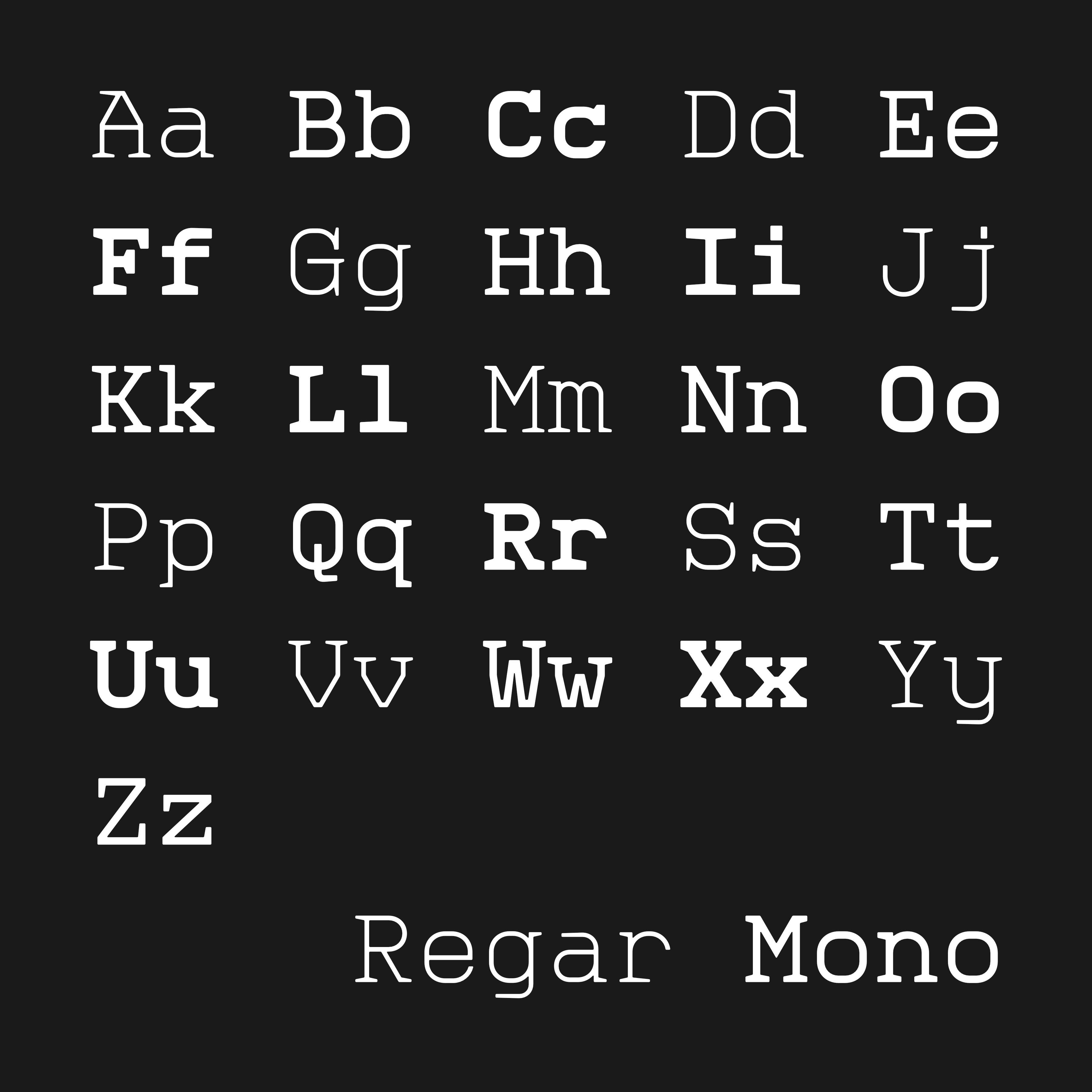 REGAR MONOSPACED FONT FAMILY