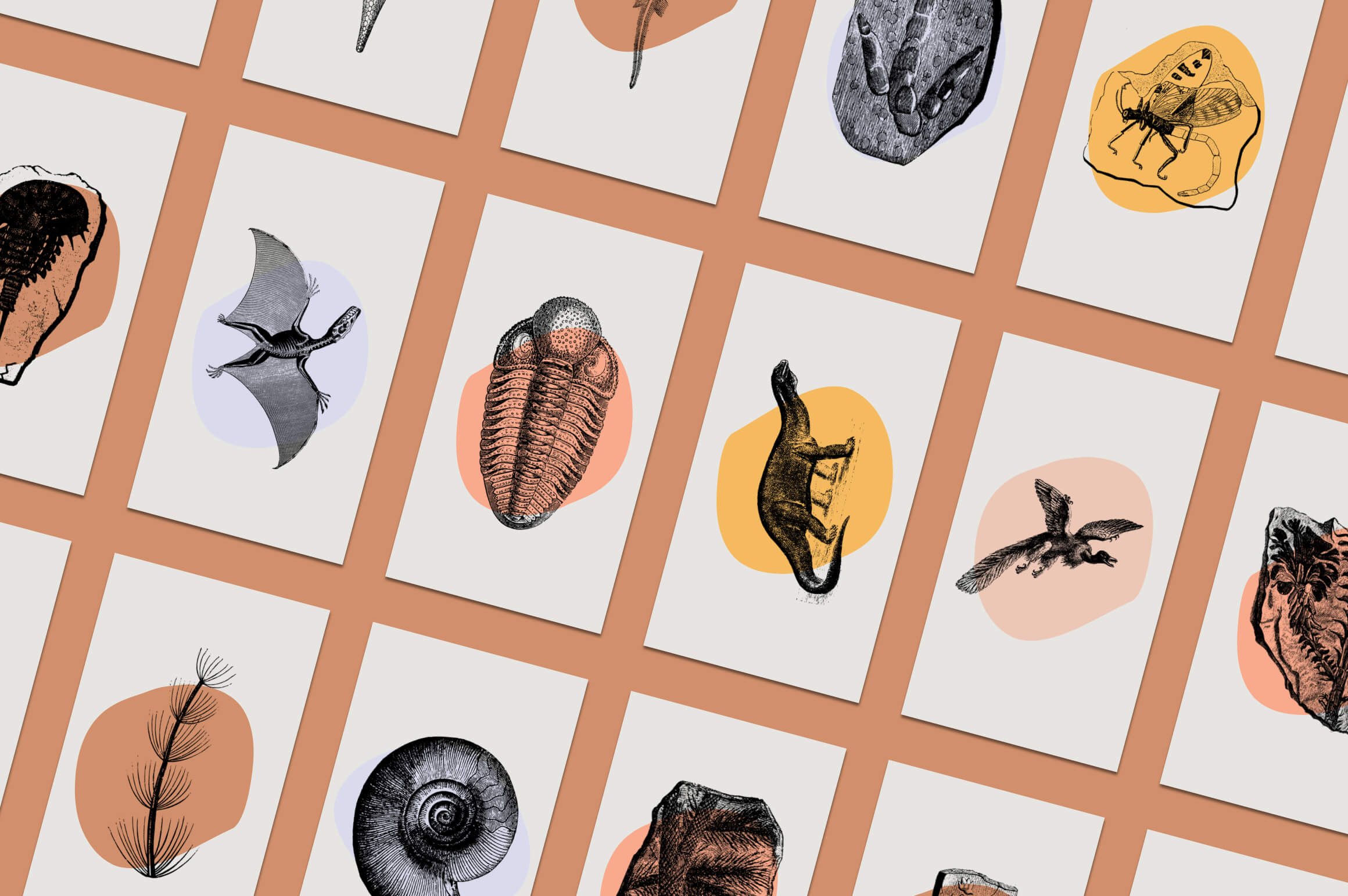Dinosaurs and Fossils