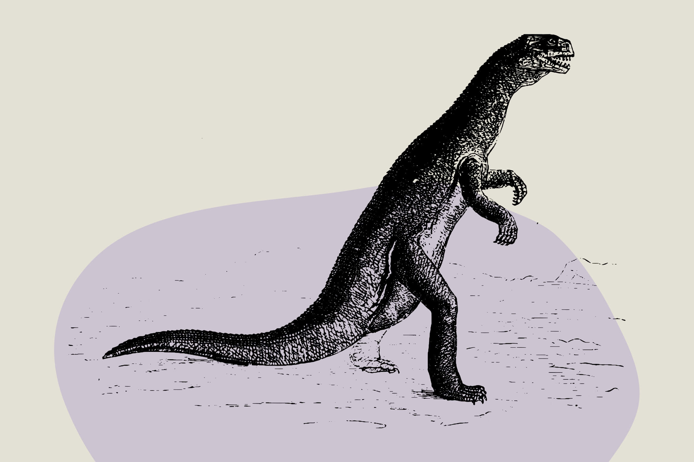 Dinosaurs and Fossils