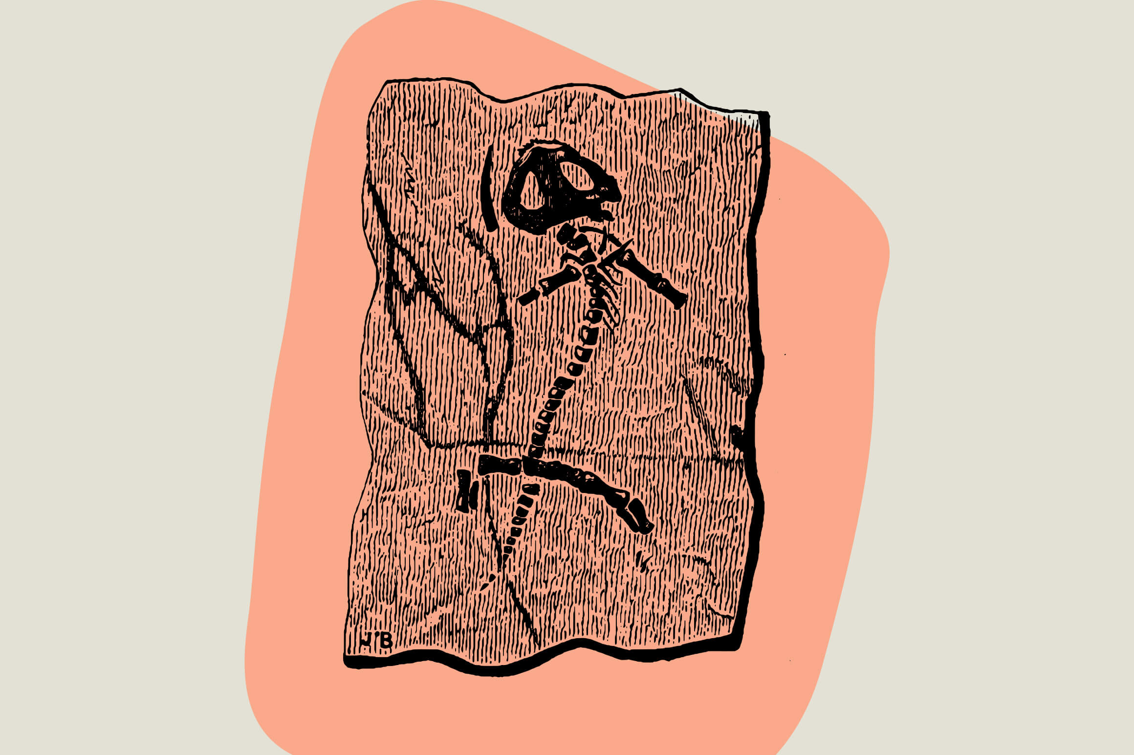 Dinosaurs and Fossils