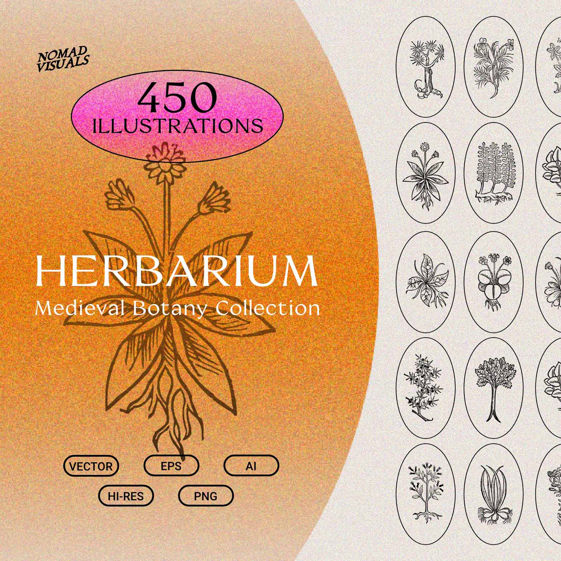 Herbarium Medieval Botany Collection