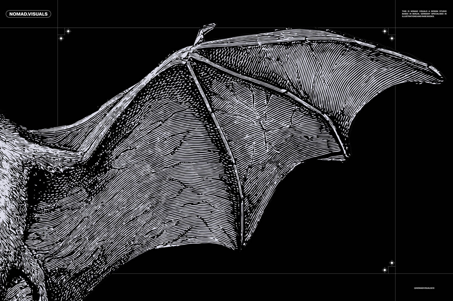 Bats of the World - secret-cache