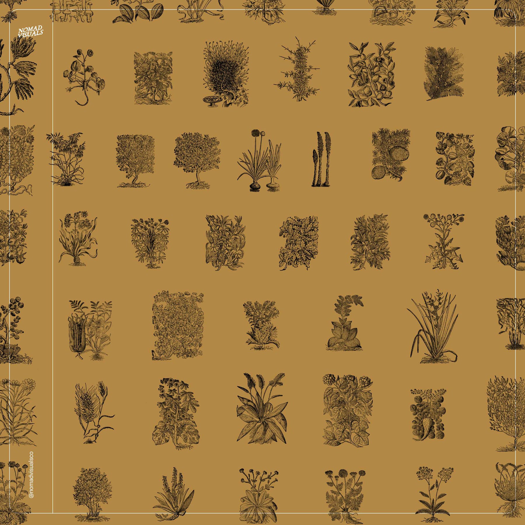 Botanical Collection - secret-cache