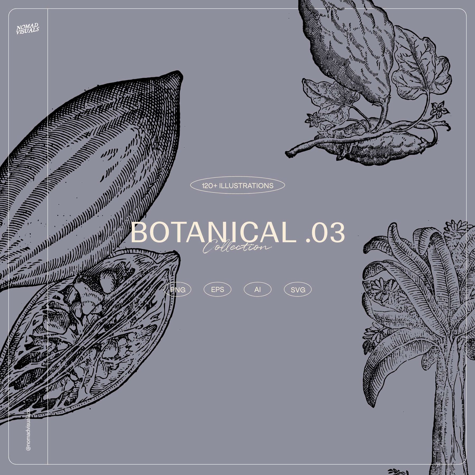 Botanical Collection - secret-cache