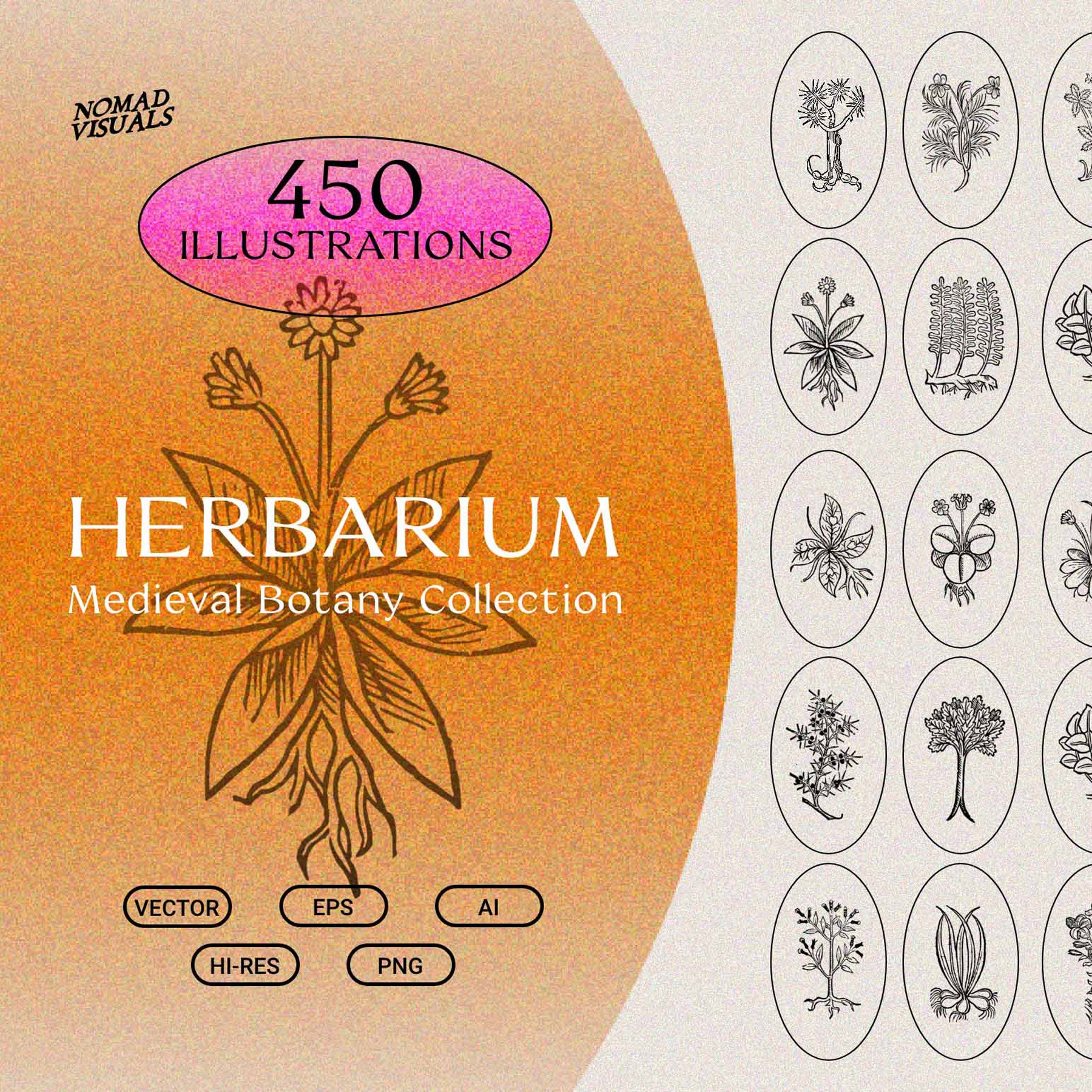Herbarium Medieval Botany Collection - secret-cache