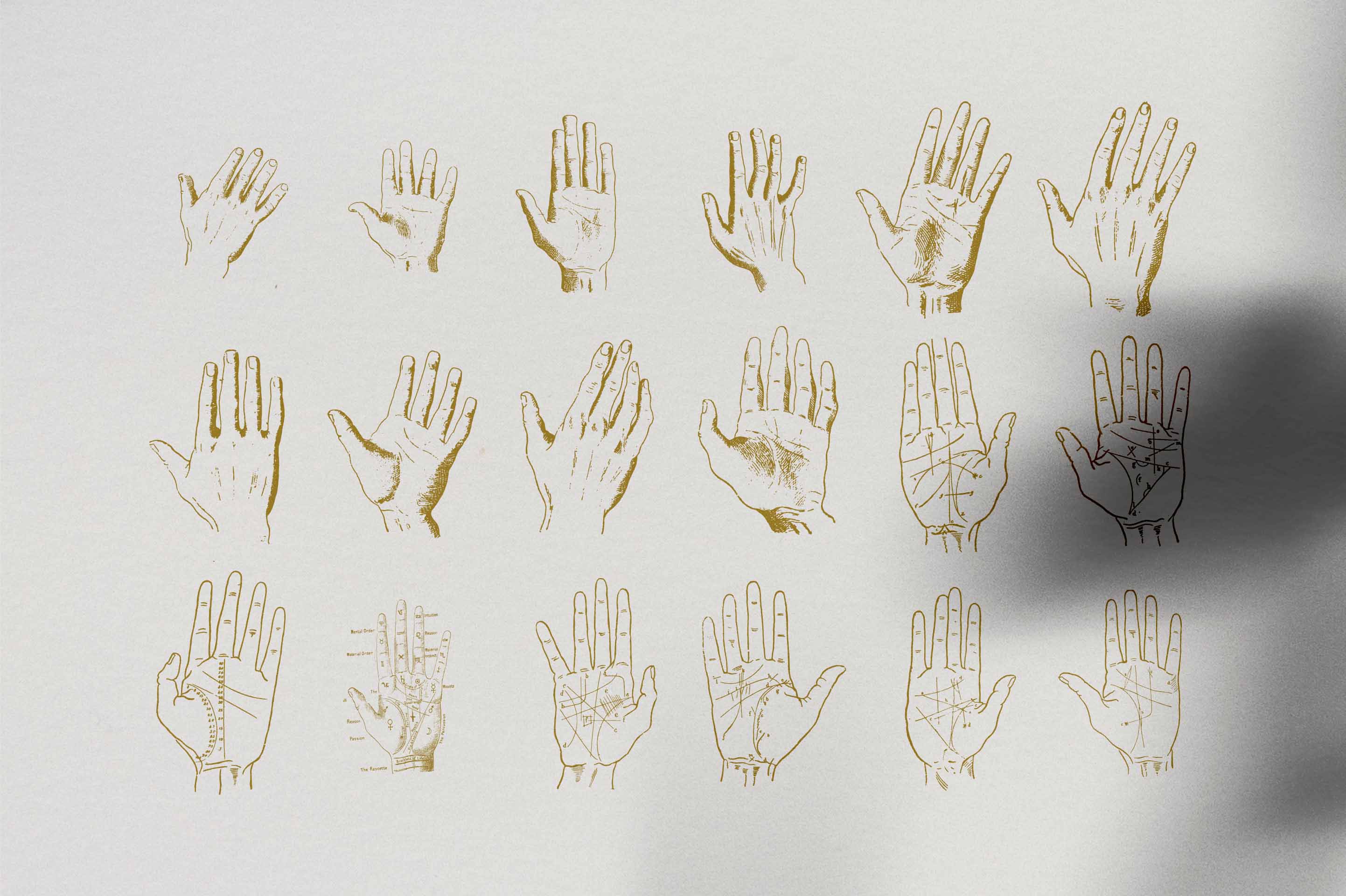 Palmistry, Zodiac & Occult - secret-cache