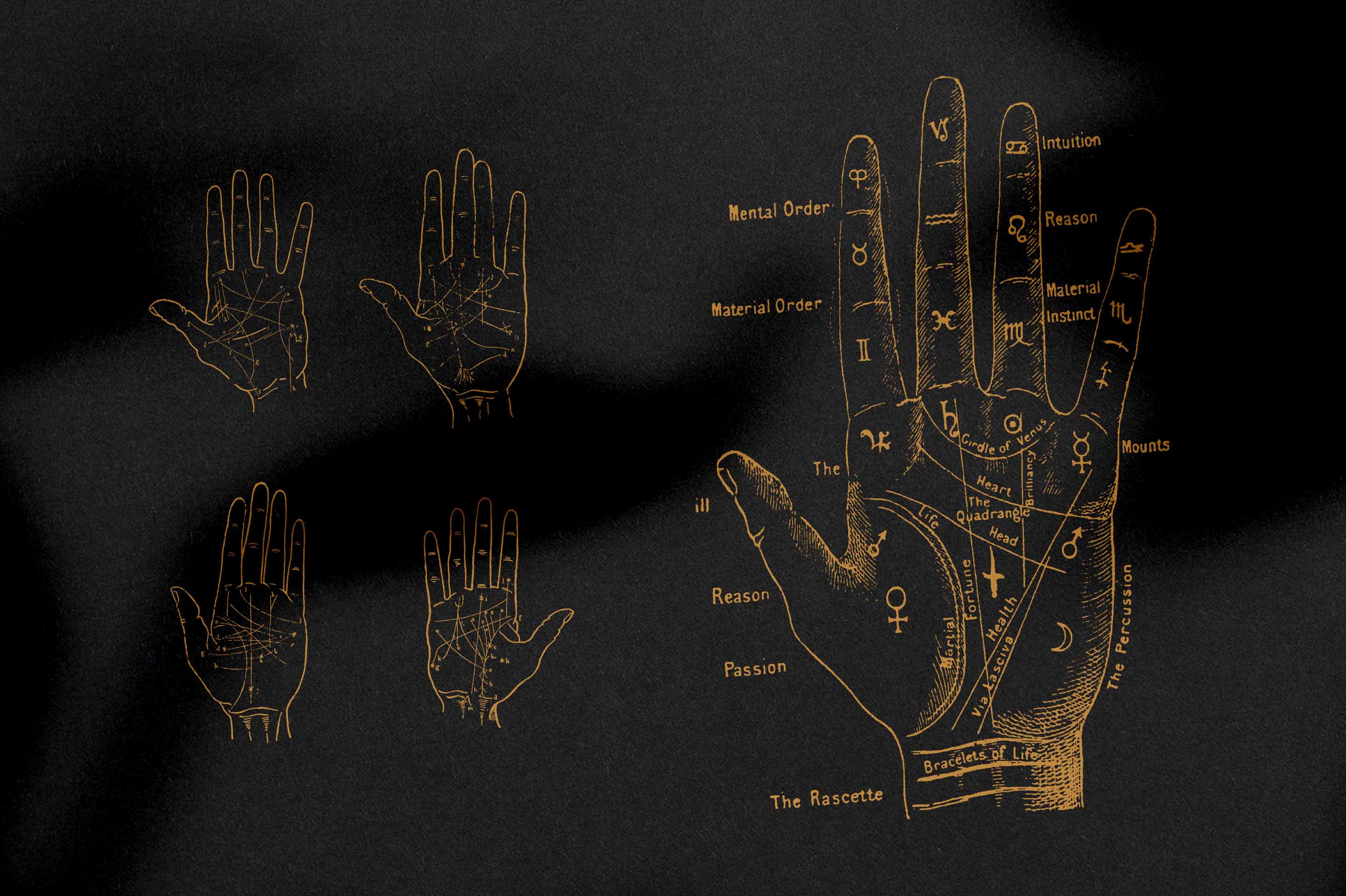 Palmistry, Zodiac & Occult - secret-cache