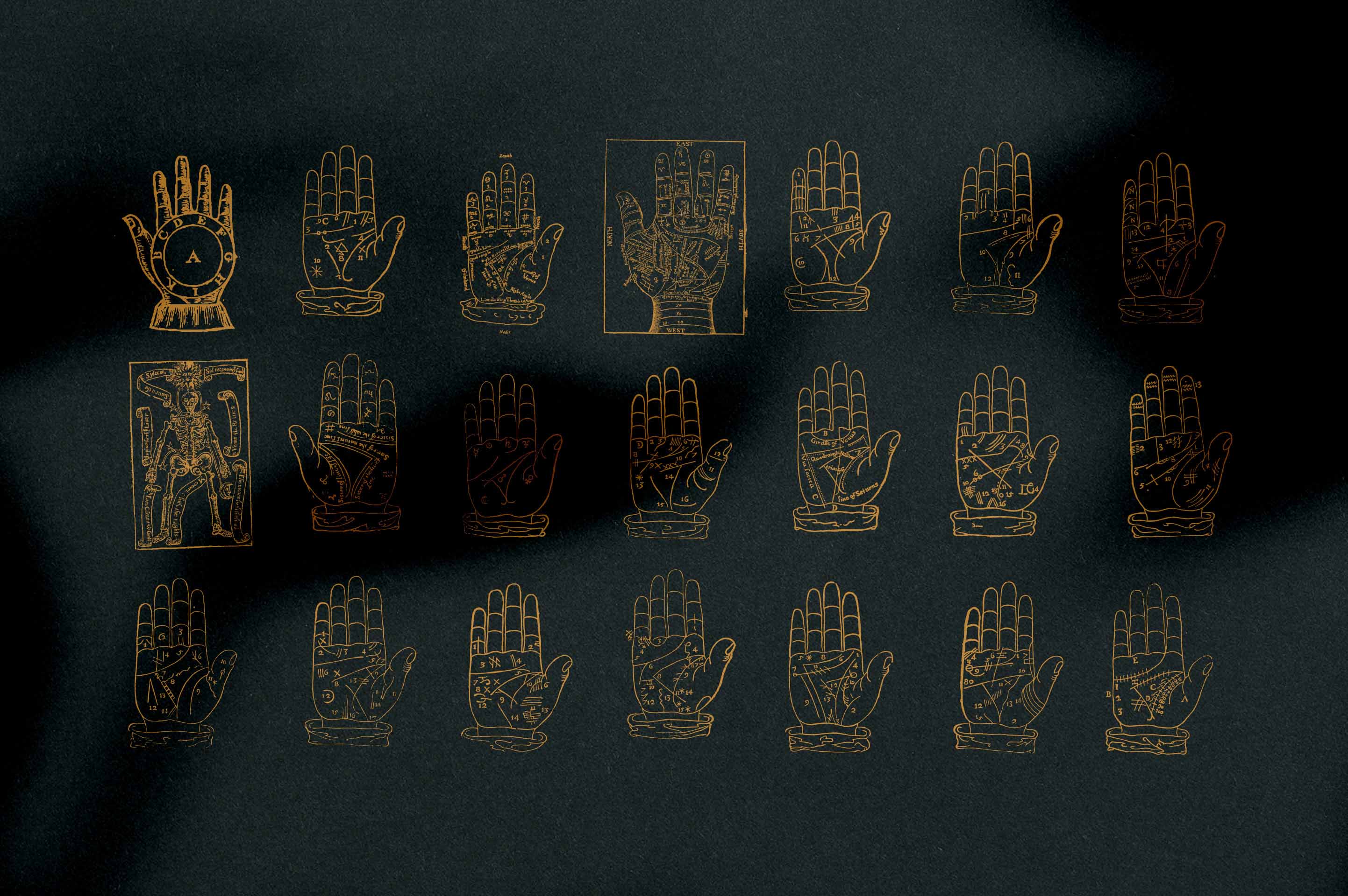 Palmistry, Zodiac & Occult - secret-cache