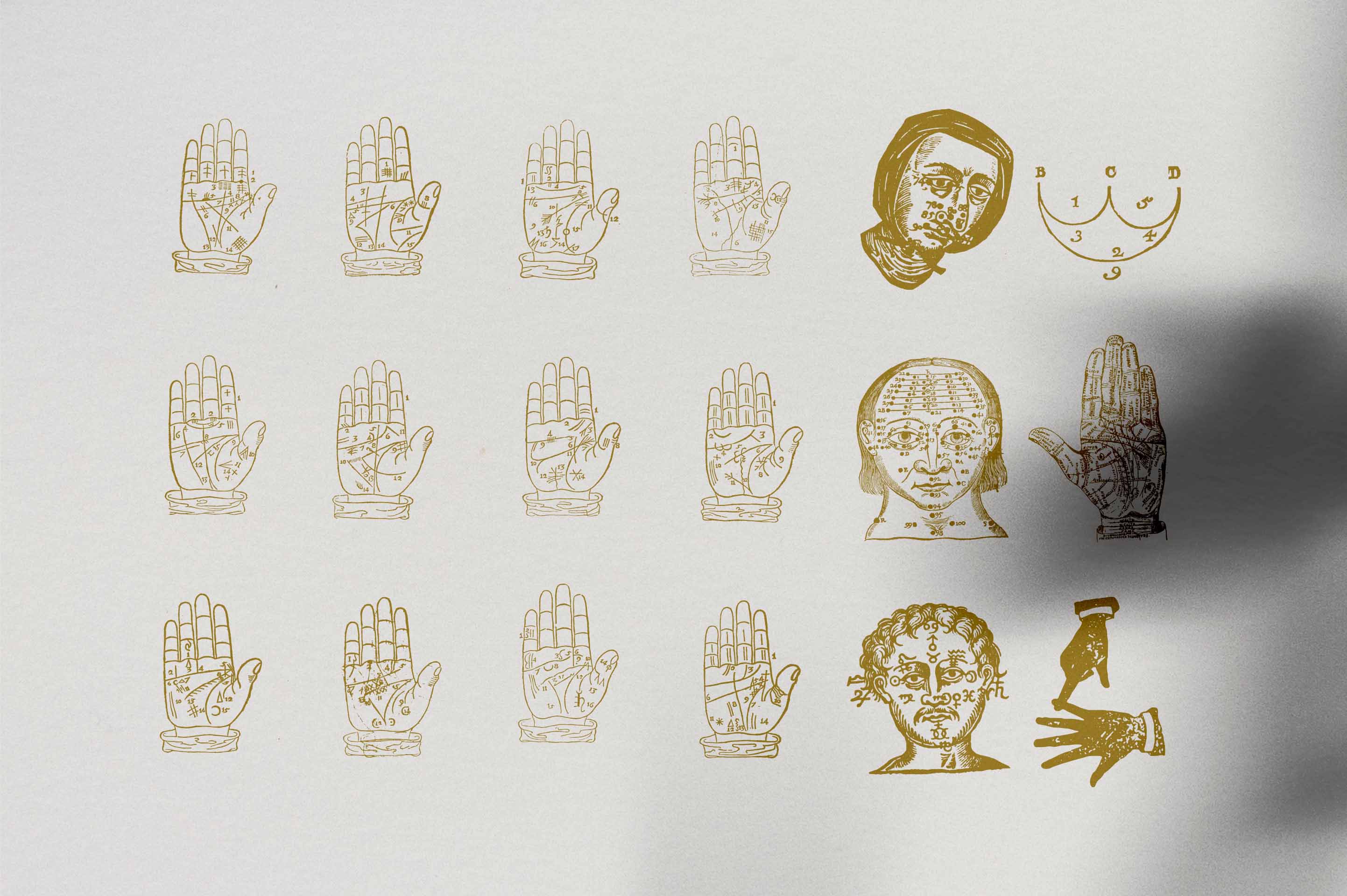 Palmistry, Zodiac & Occult - secret-cache