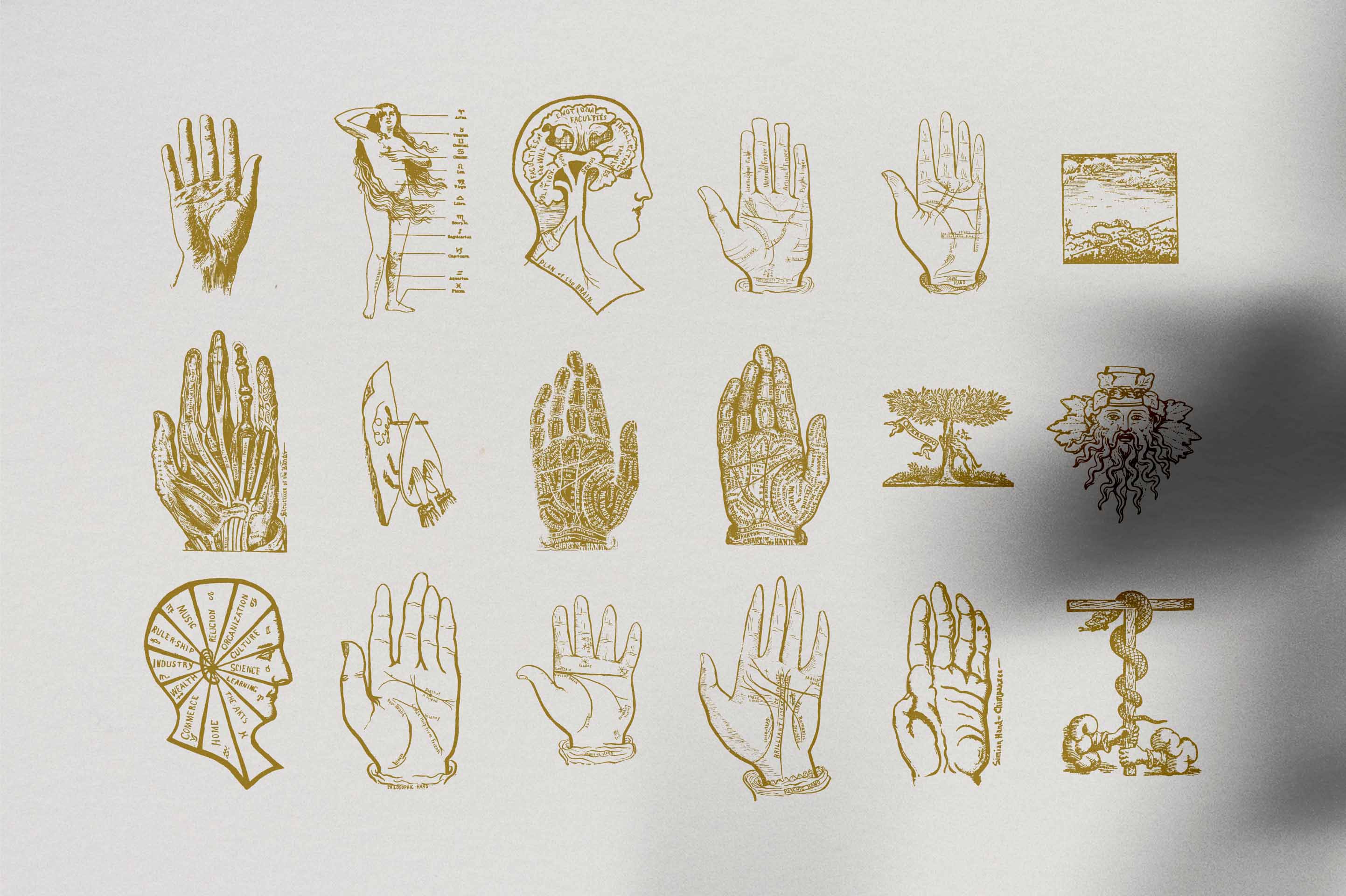 Palmistry, Zodiac & Occult - secret-cache